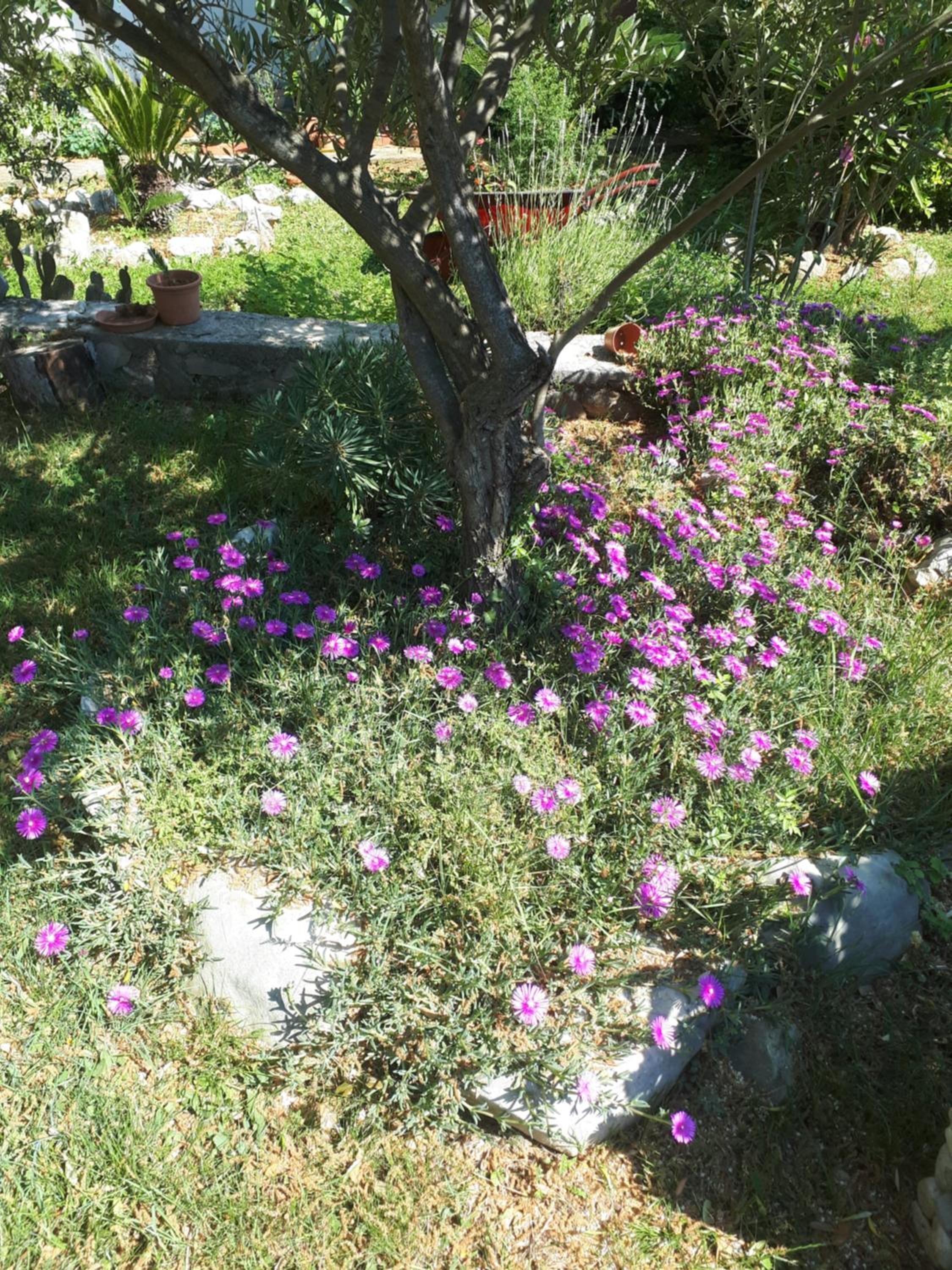 Photo 30