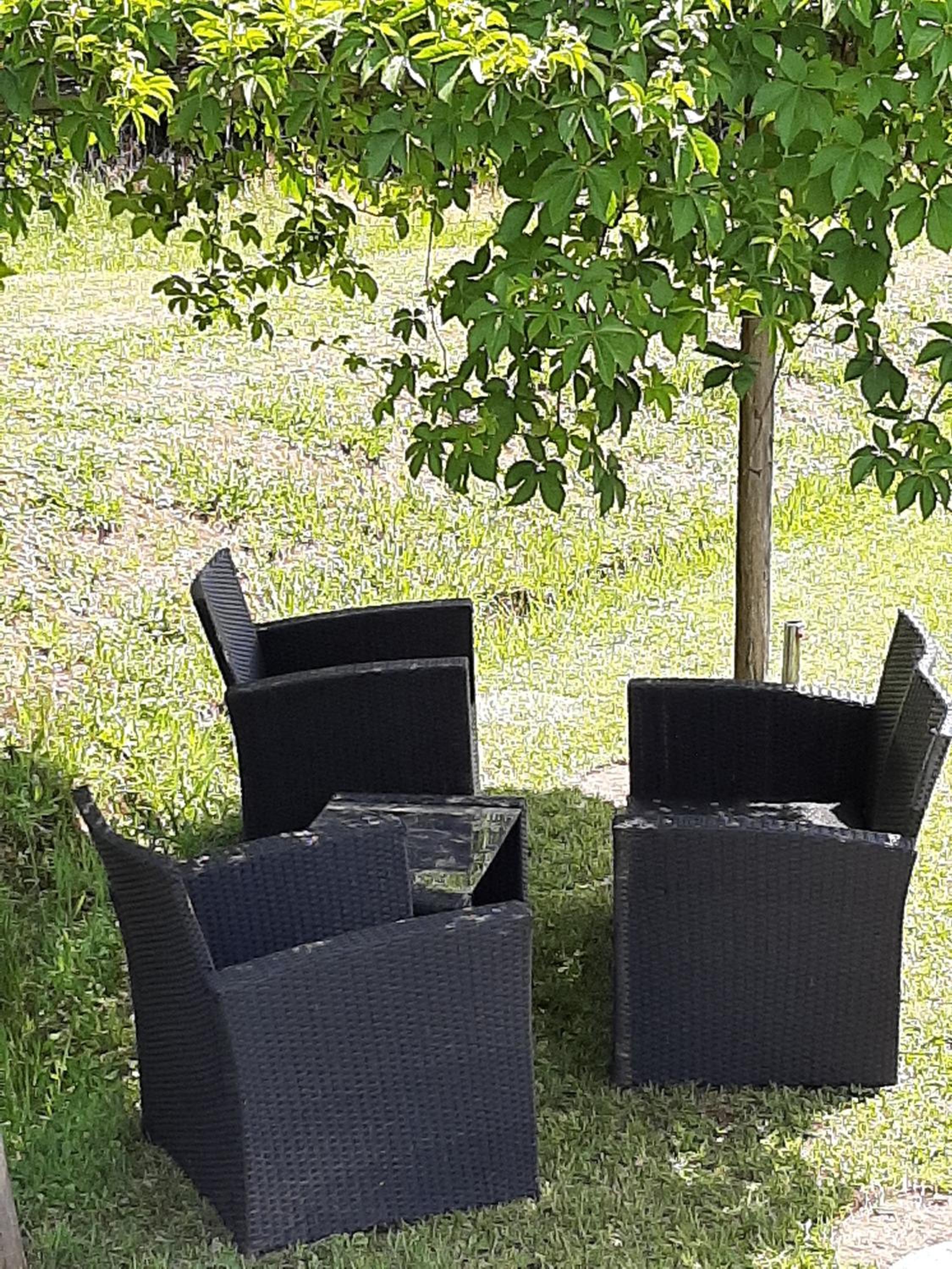 Tenuta degli Obizzi
