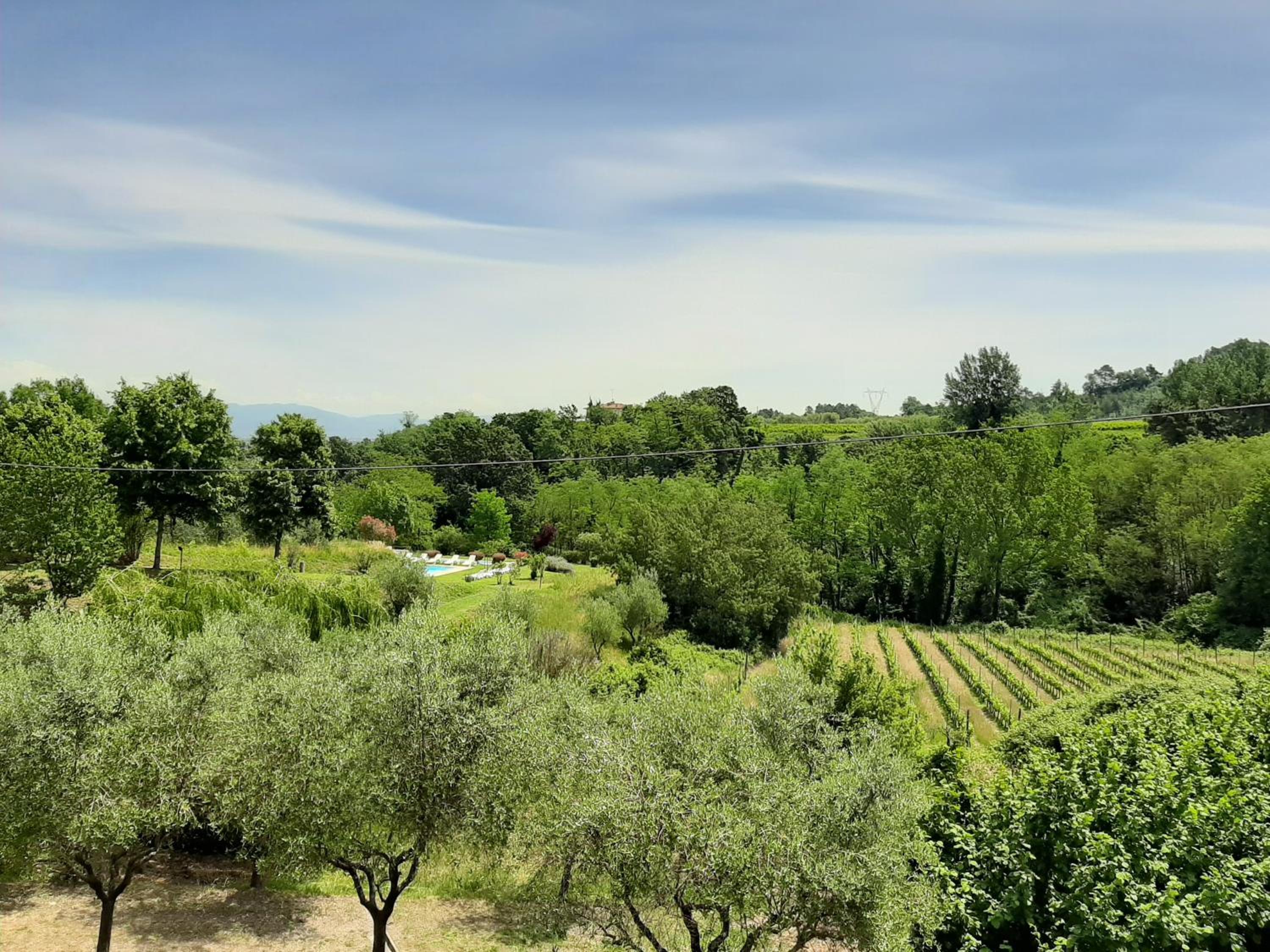 Tenuta degli Obizzi