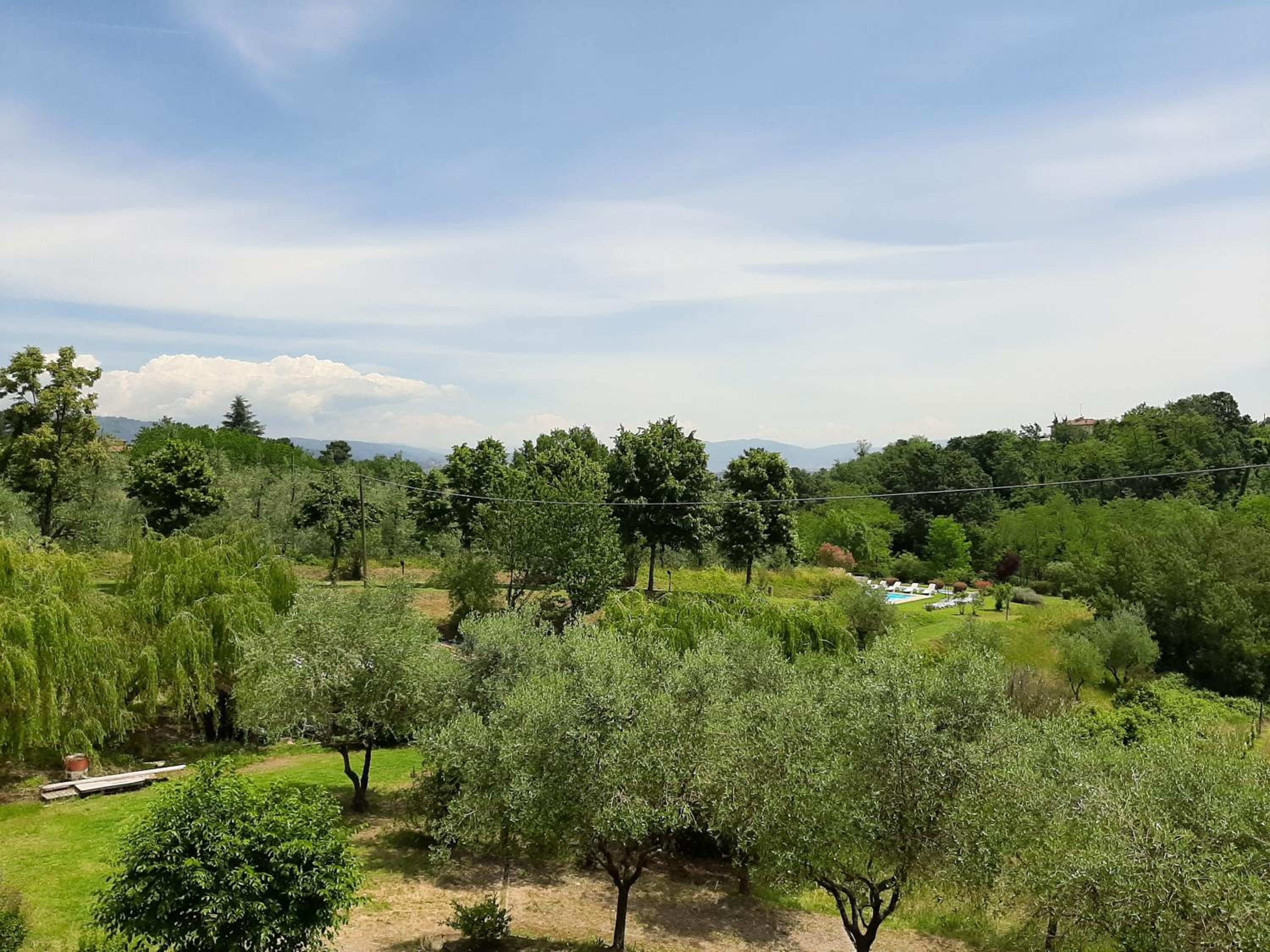 Tenuta degli Obizzi