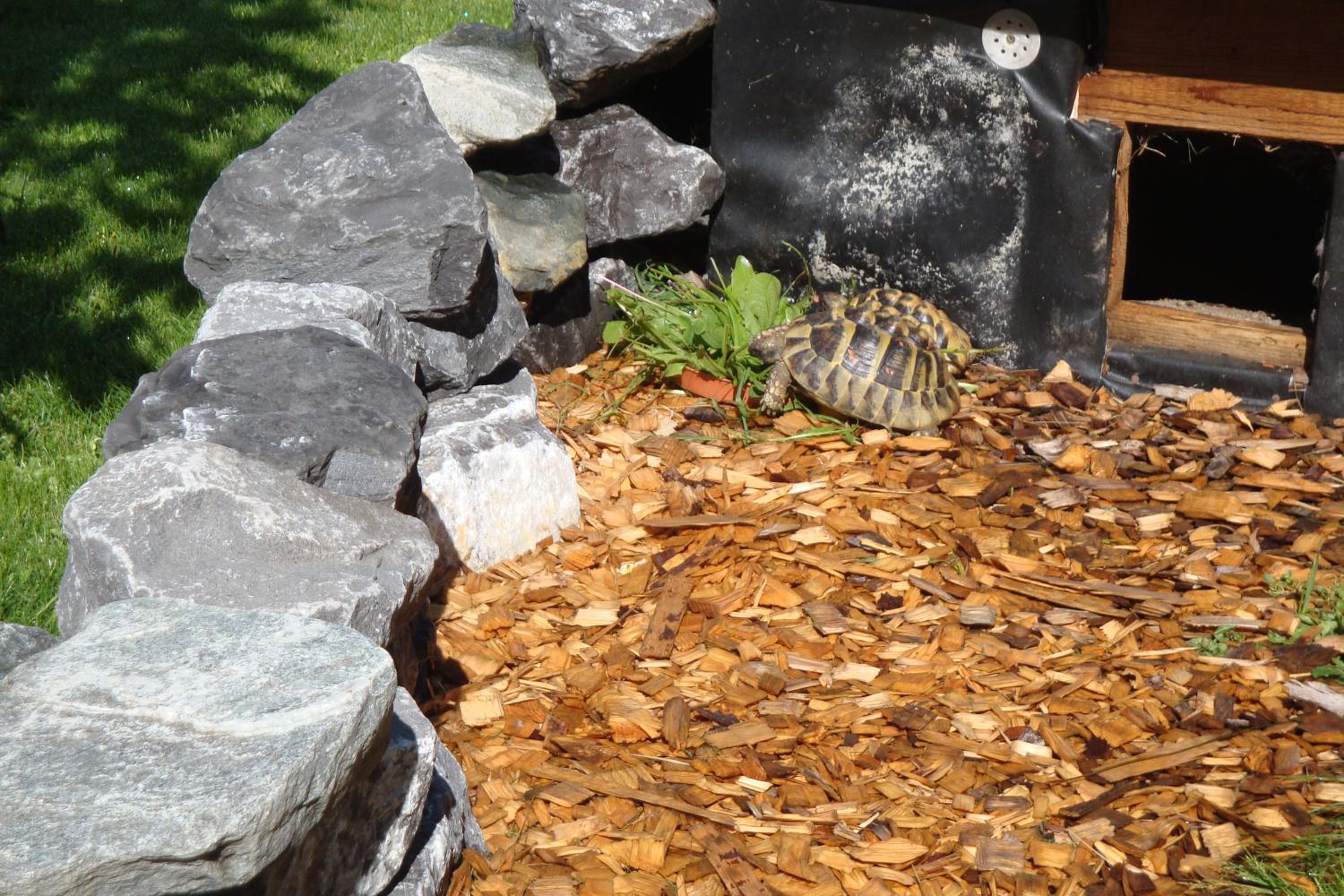 Photo 11