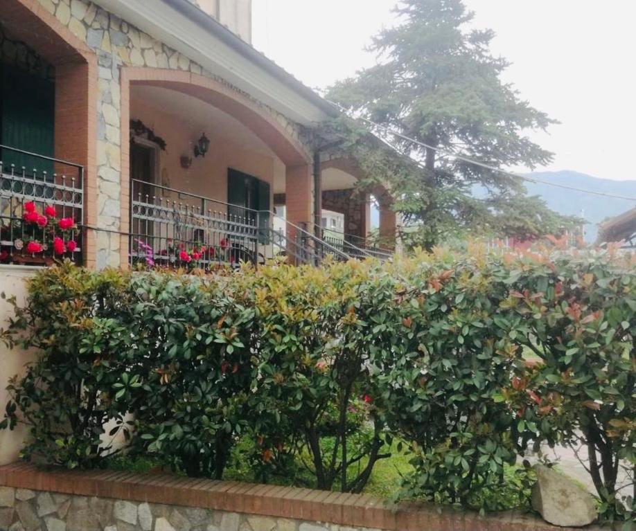 B&B Alba, photo 35