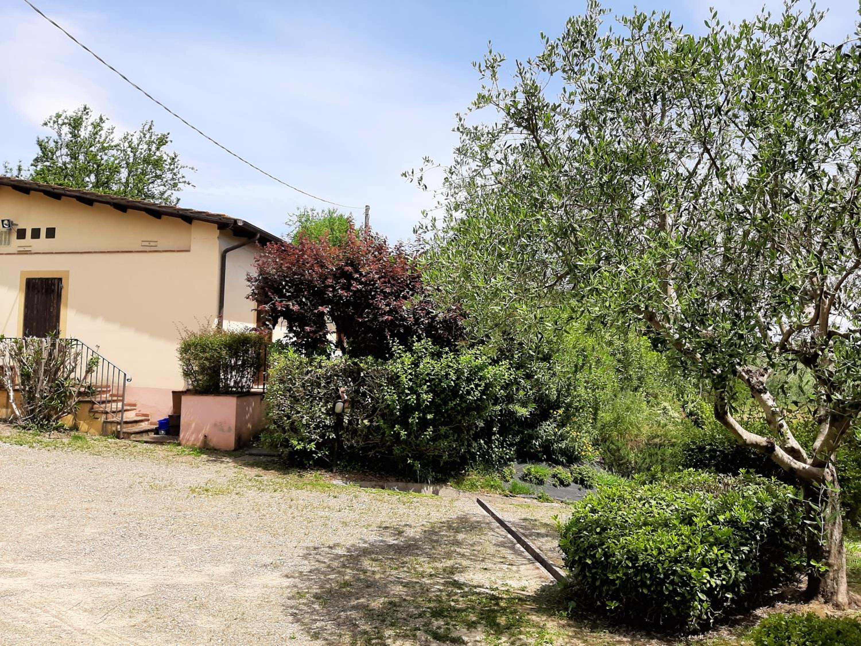 Tenuta degli Obizzi