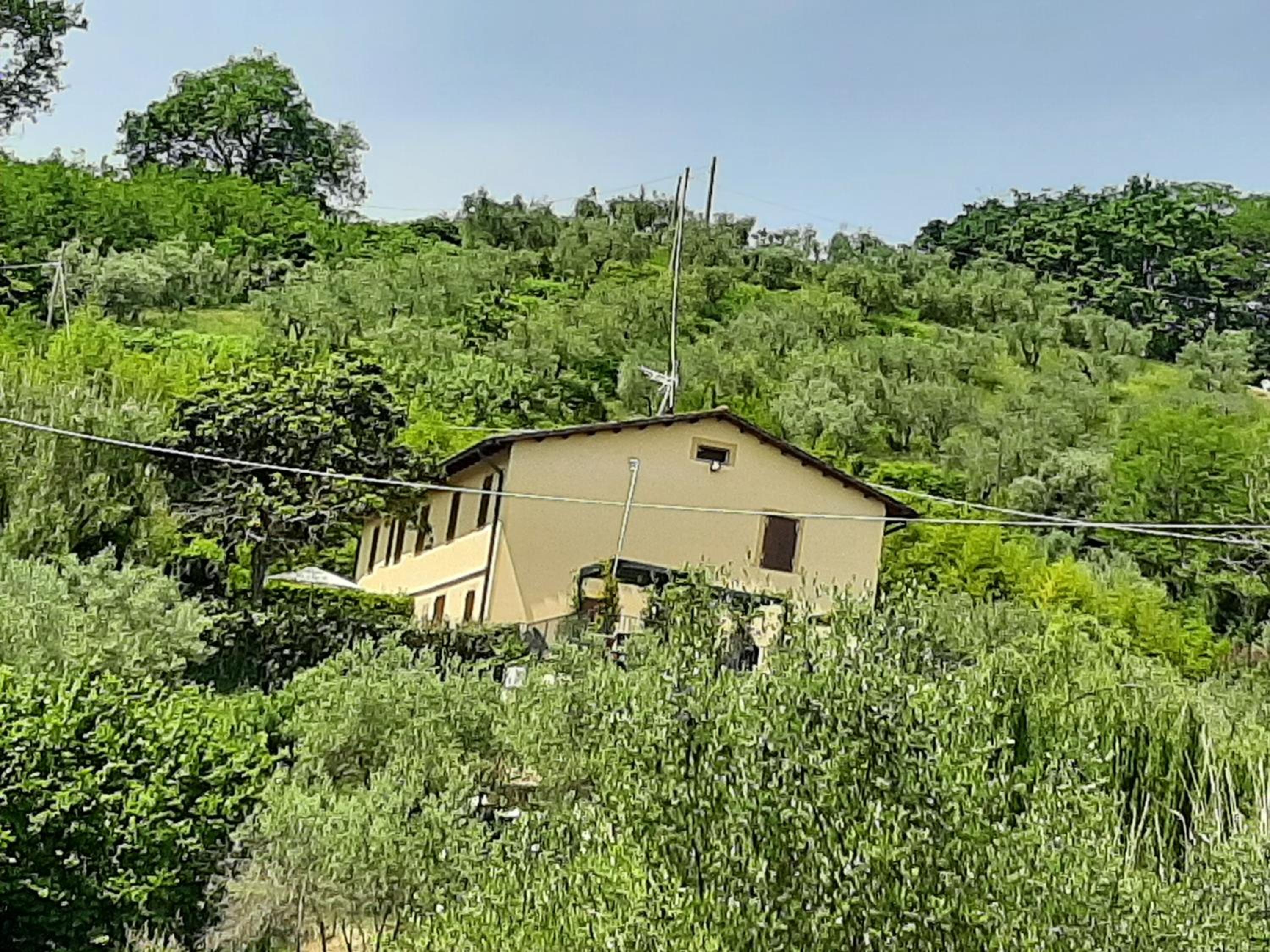 Tenuta degli Obizzi
