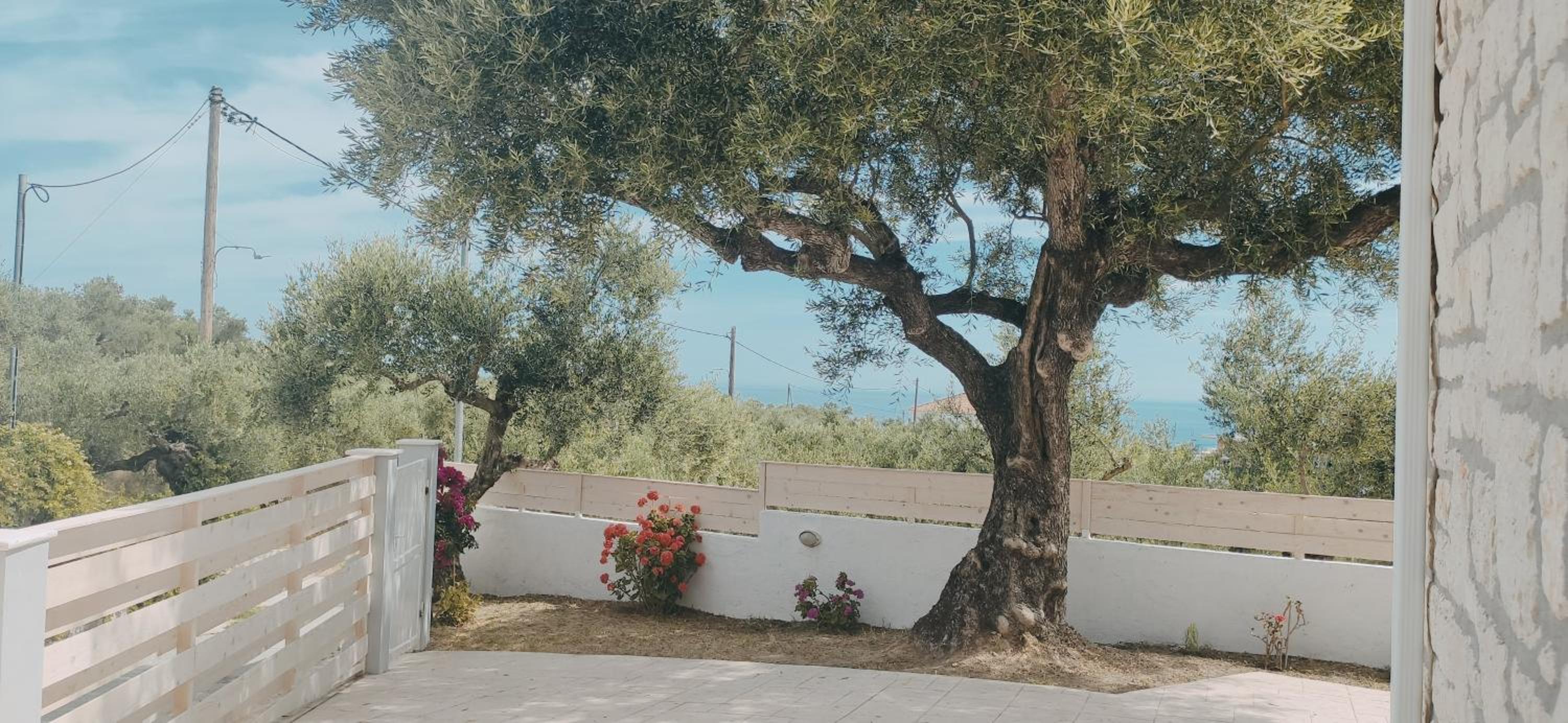 Villa Zante Avia photo 5