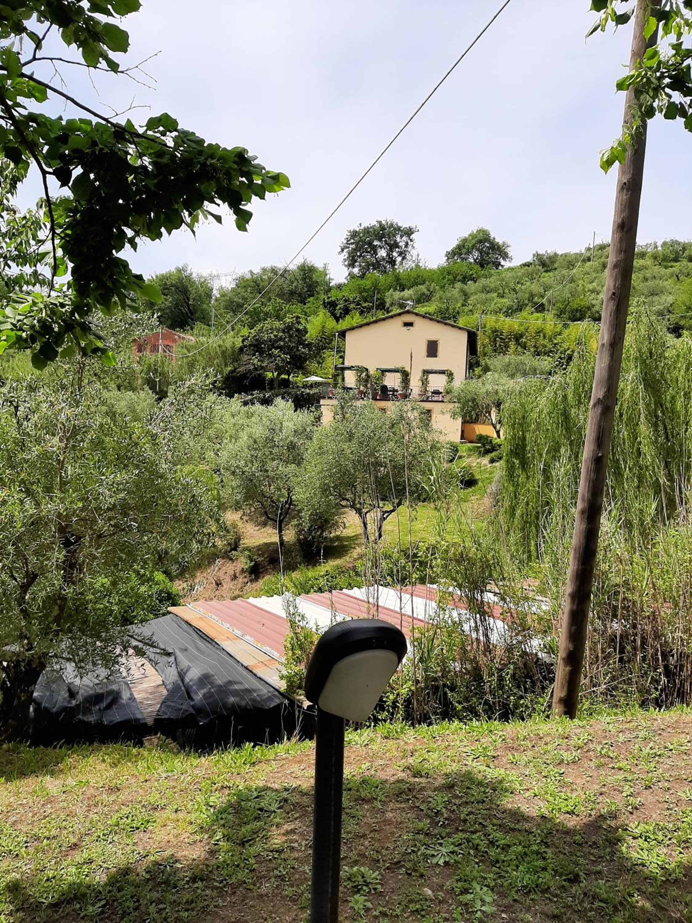 Tenuta degli Obizzi