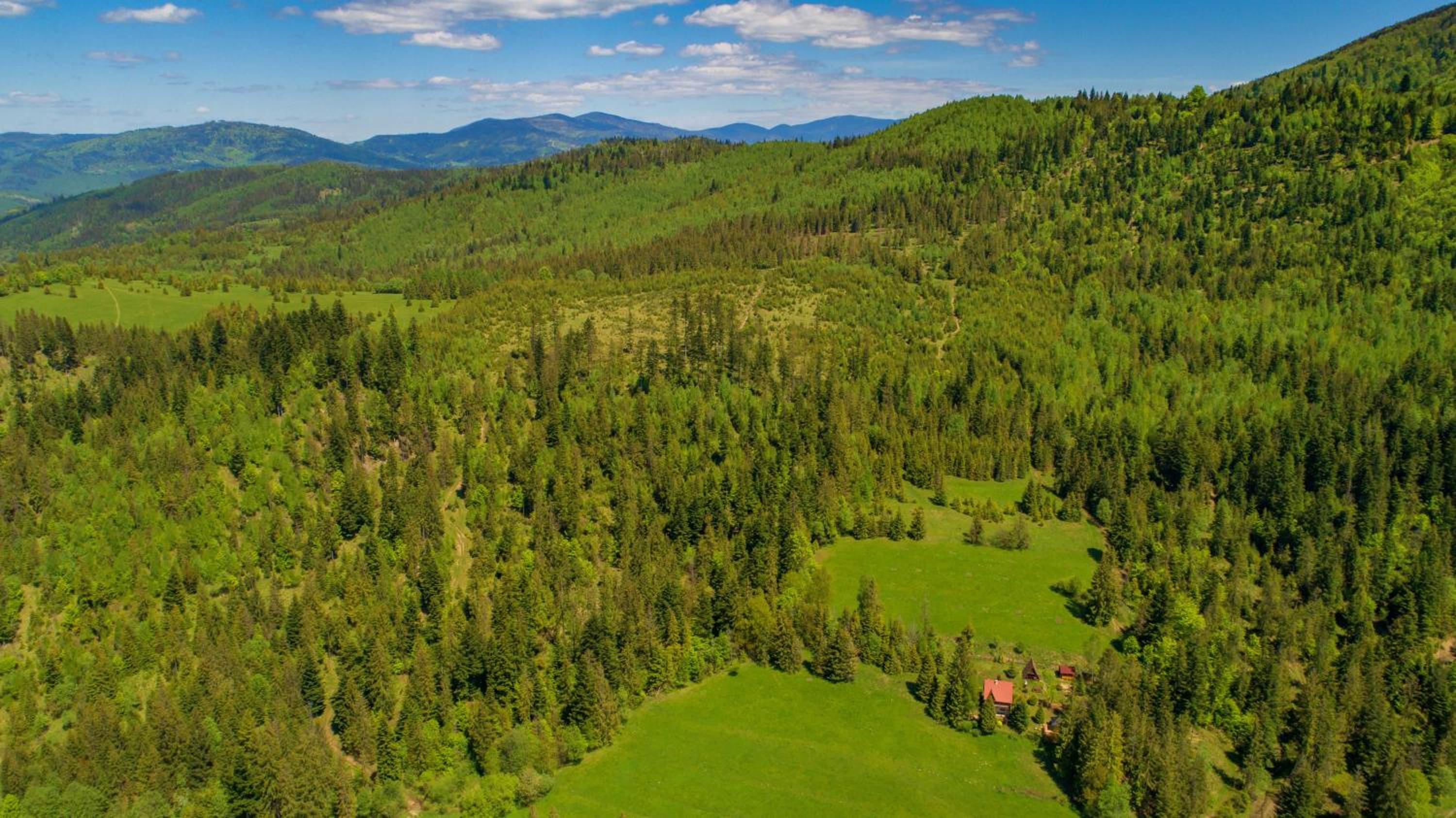 Ostoja Rycerka view 3