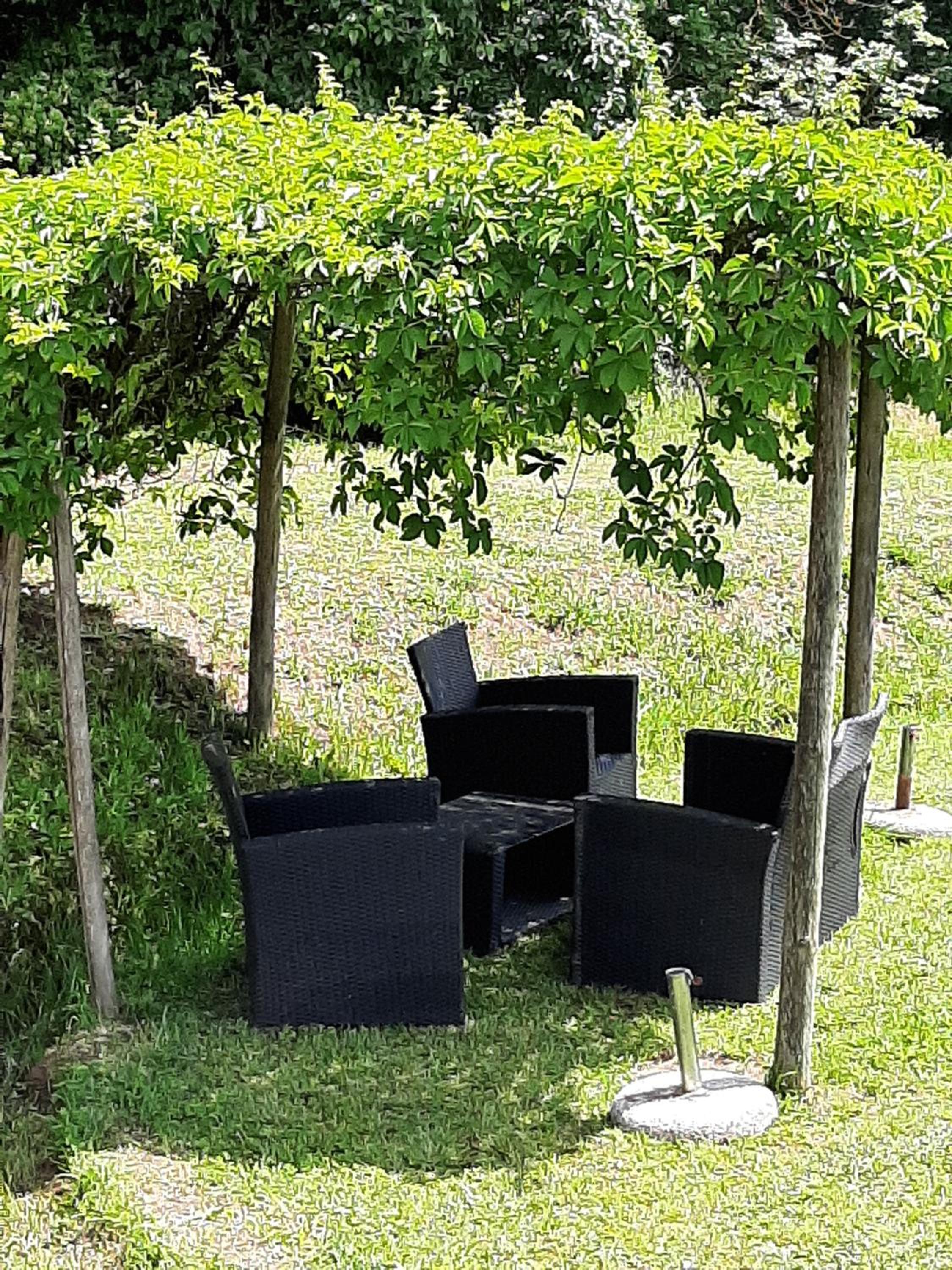 Tenuta degli Obizzi