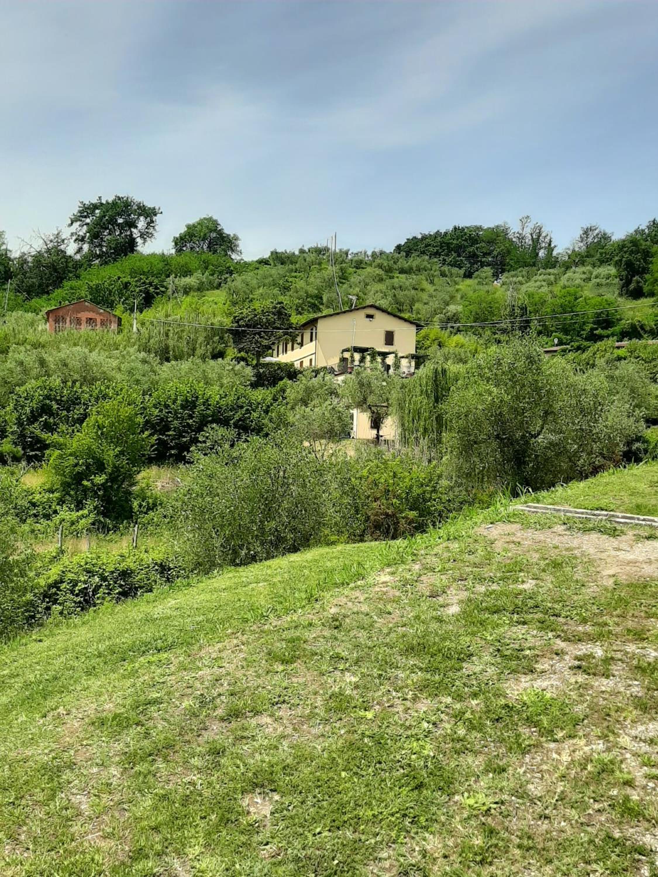 Tenuta degli Obizzi