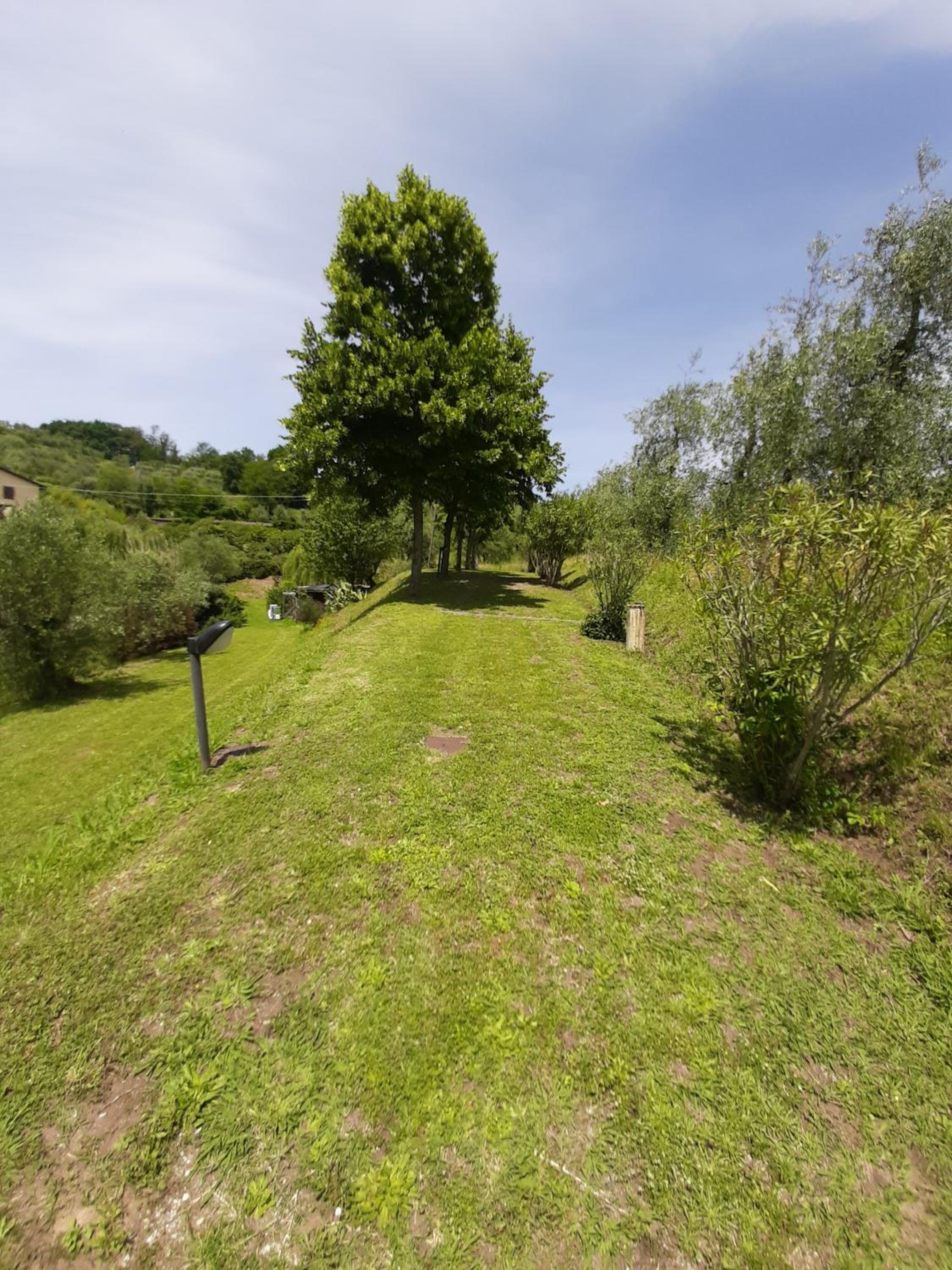 Tenuta degli Obizzi