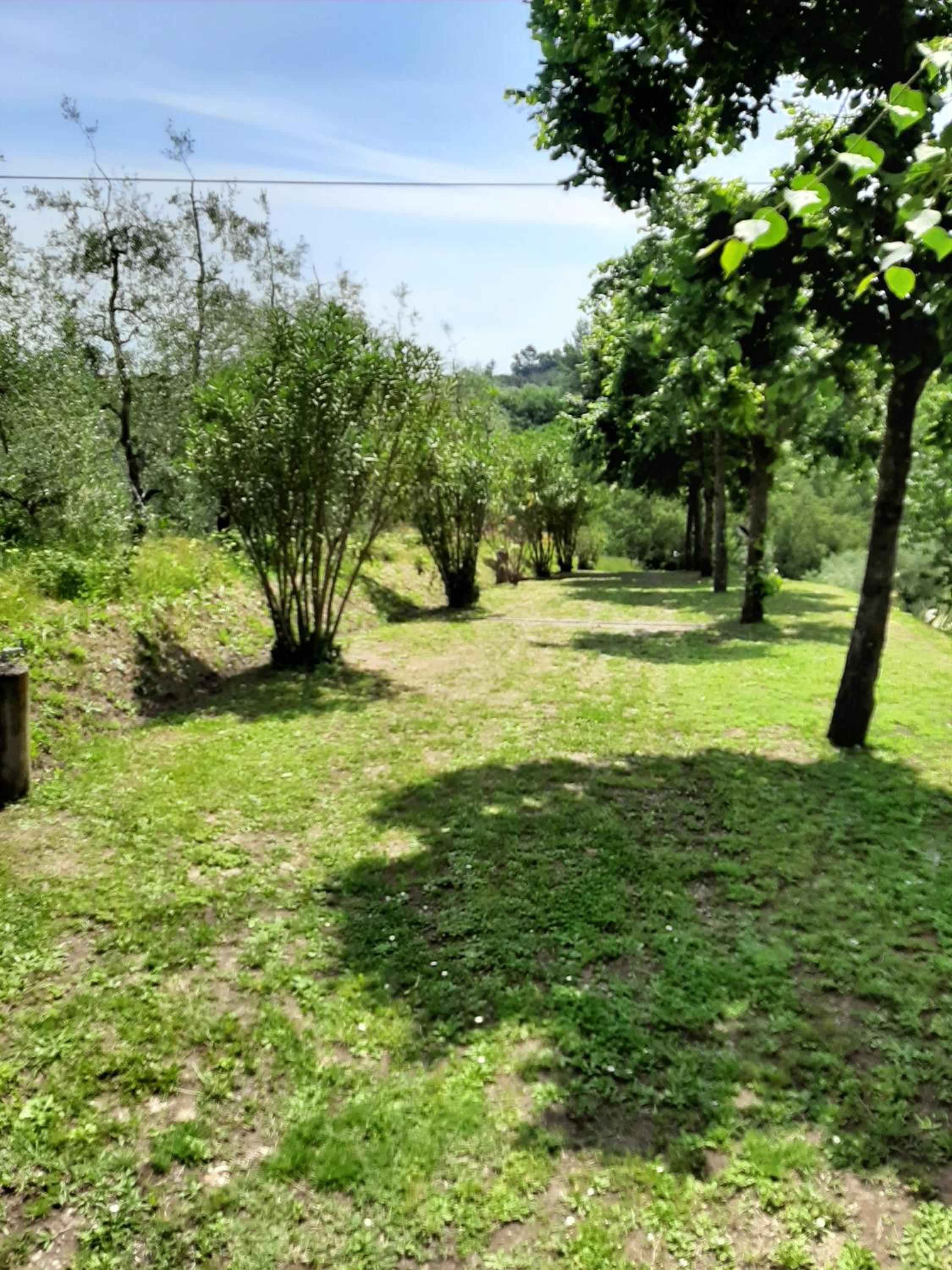 Tenuta degli Obizzi