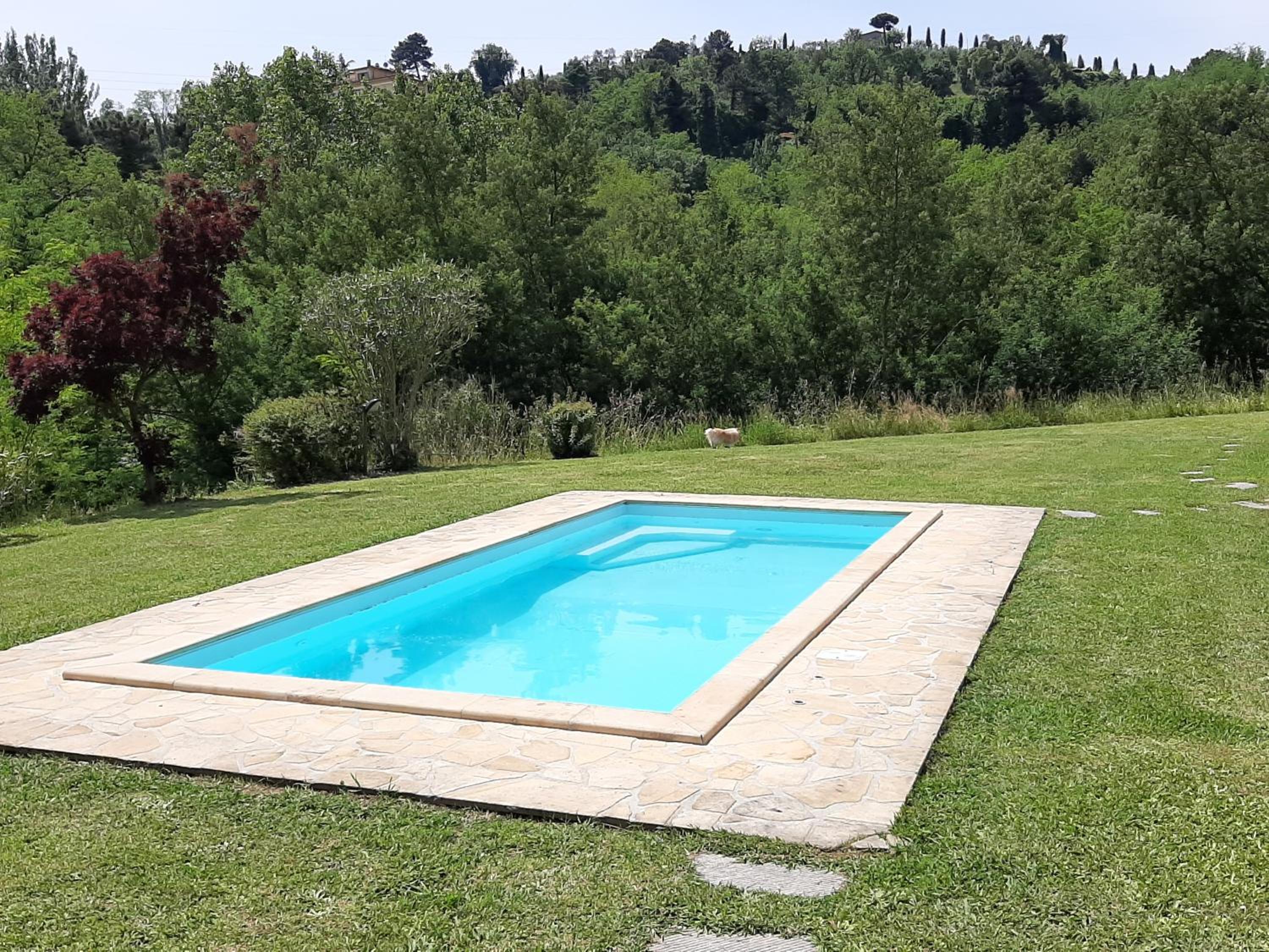 Tenuta degli Obizzi