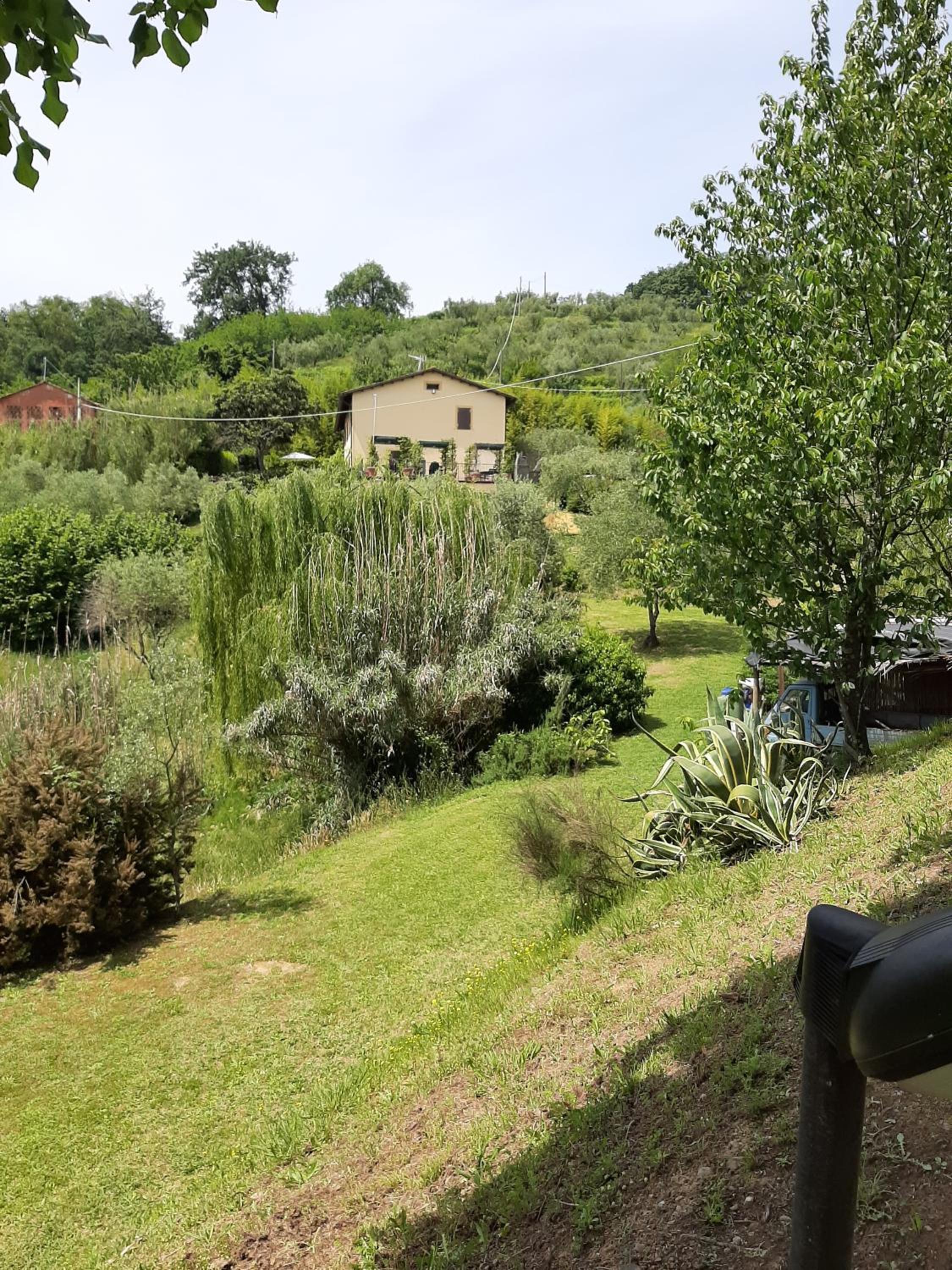 Tenuta degli Obizzi