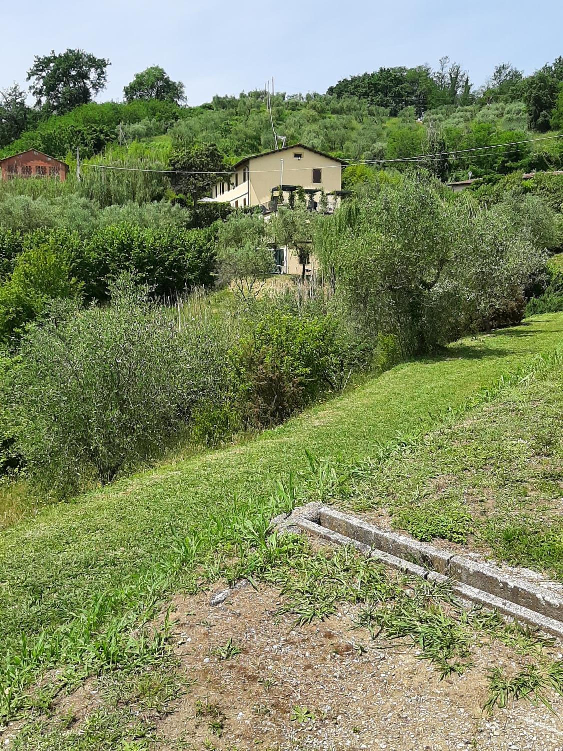 Tenuta degli Obizzi