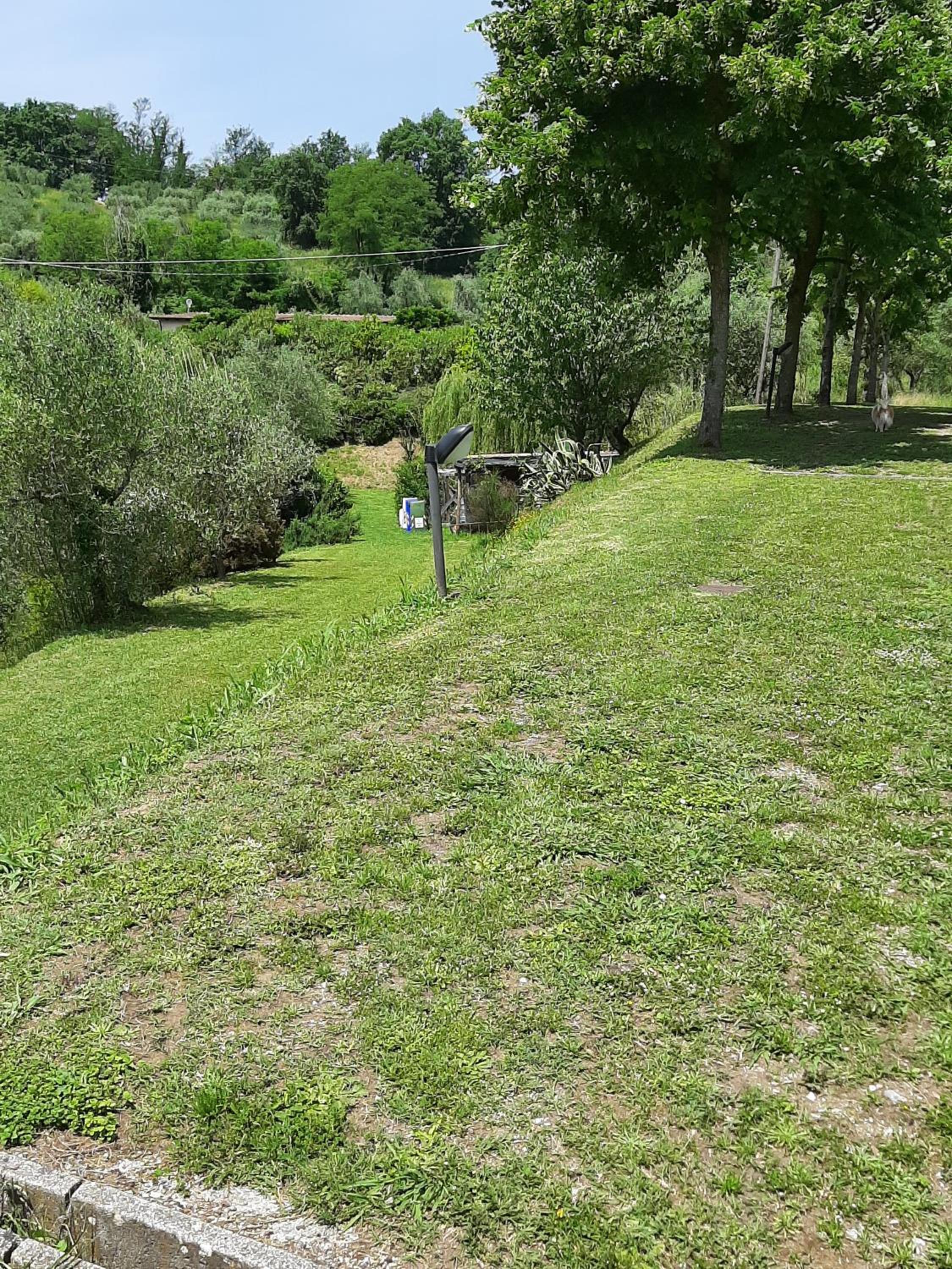 Tenuta degli Obizzi