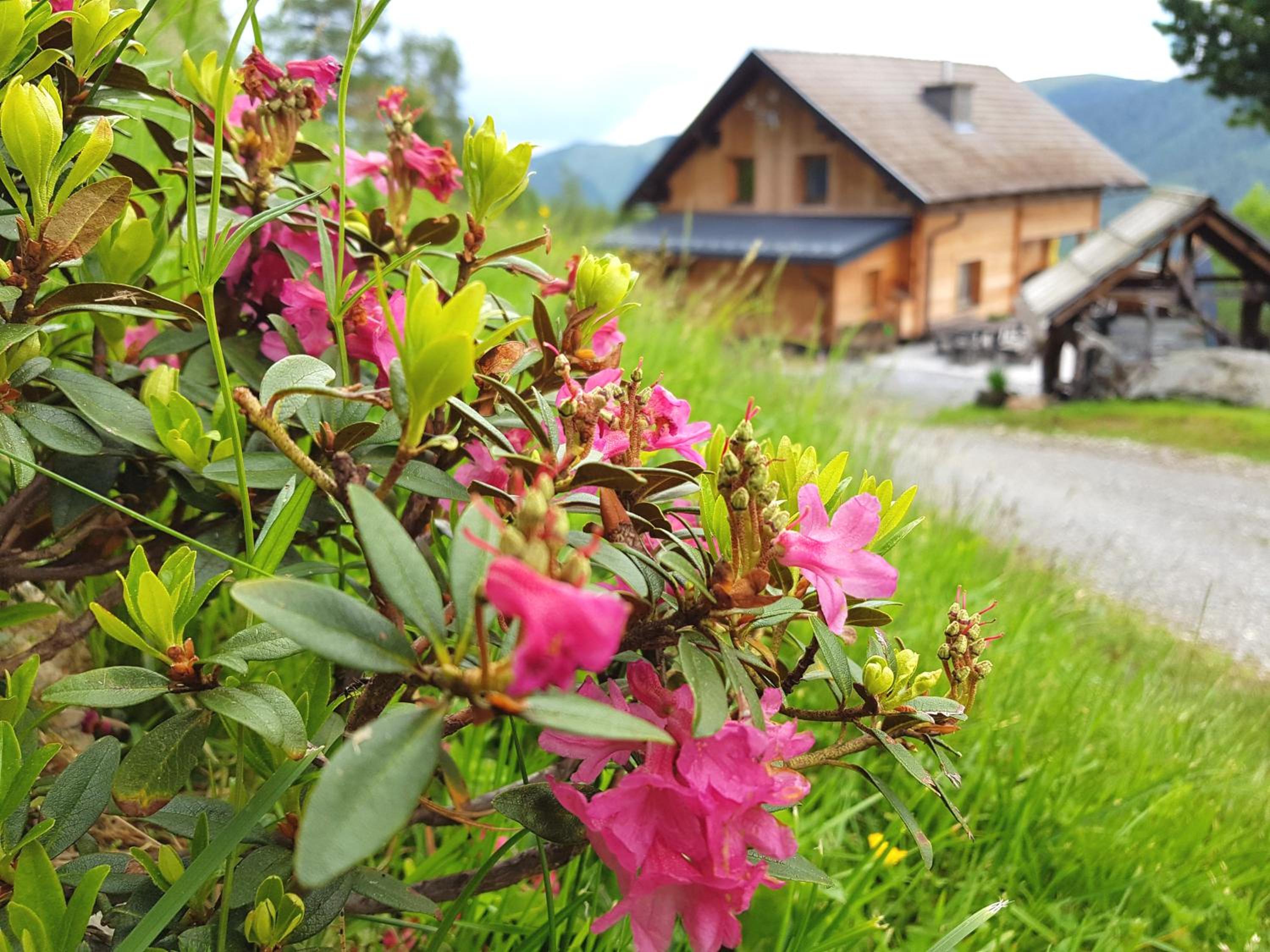 Almhütte Kristabauer