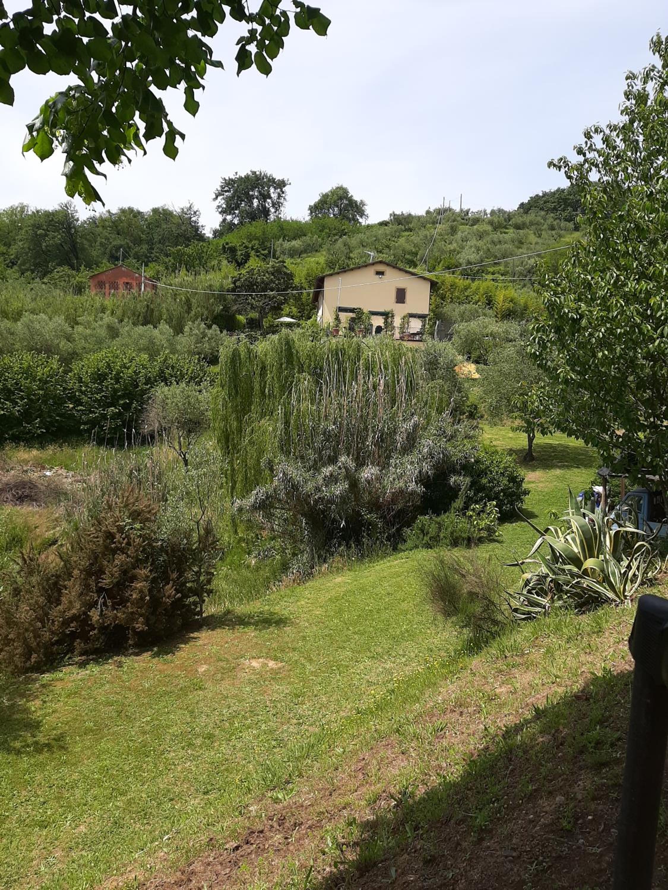 Tenuta degli Obizzi