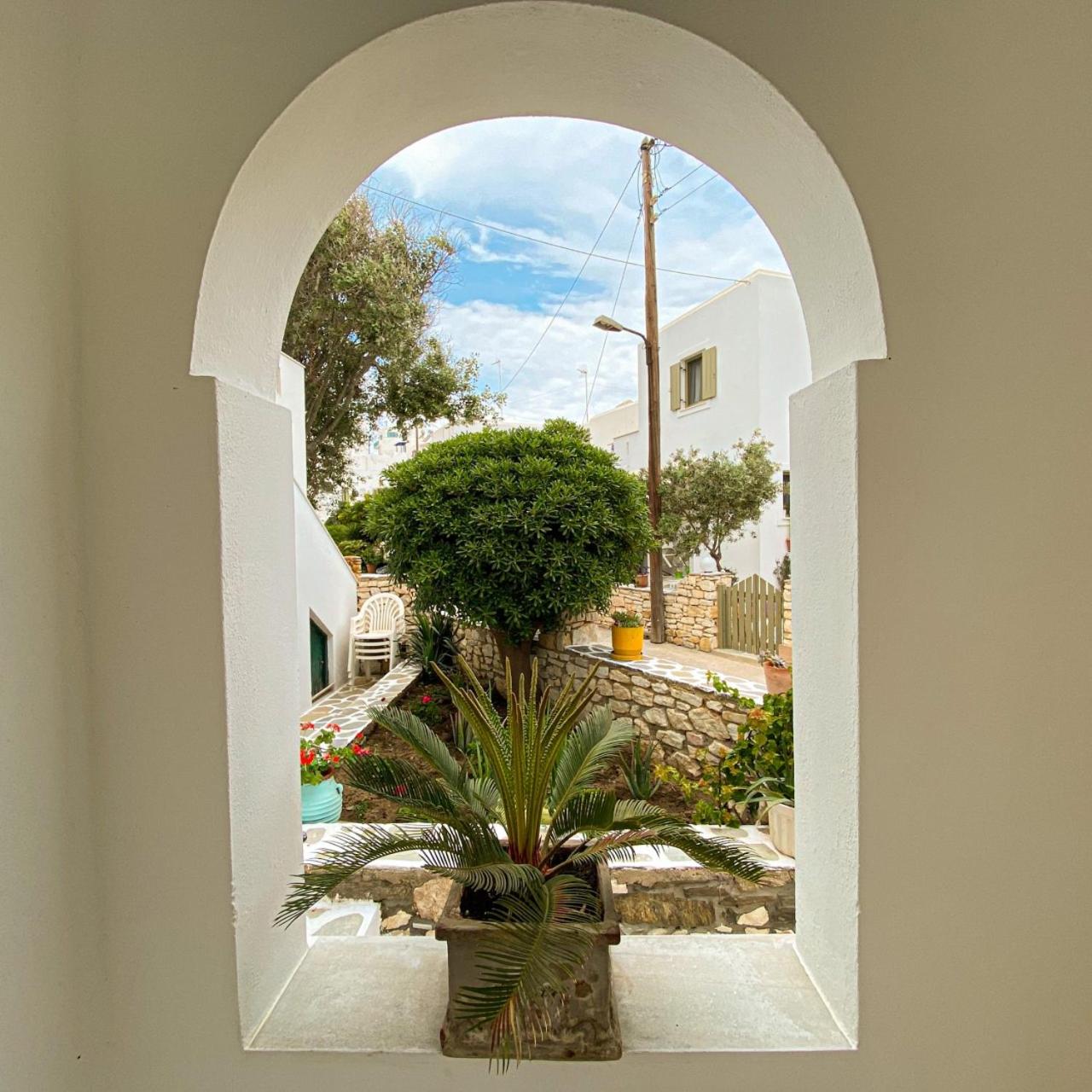 Photo 20