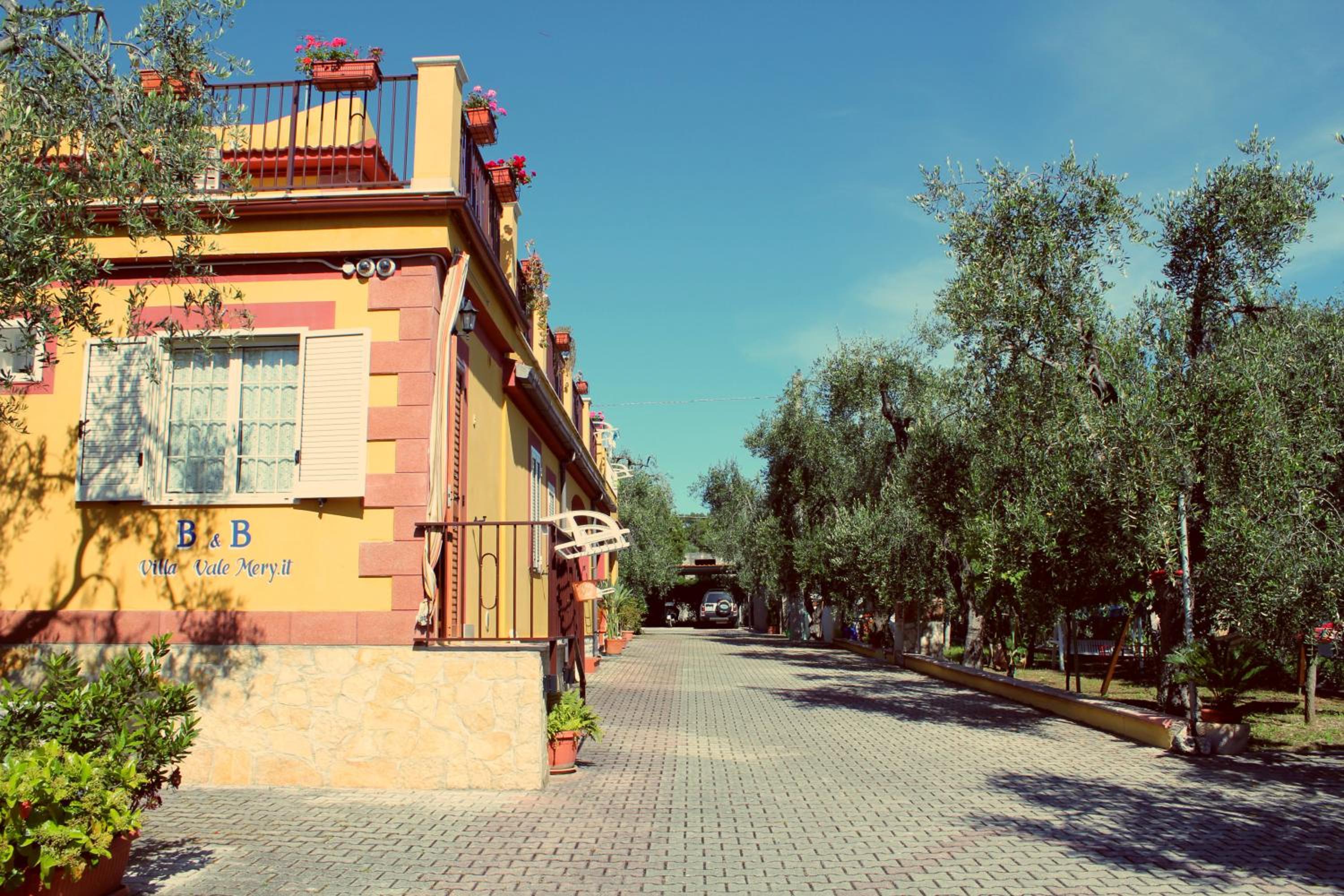 Photo 20