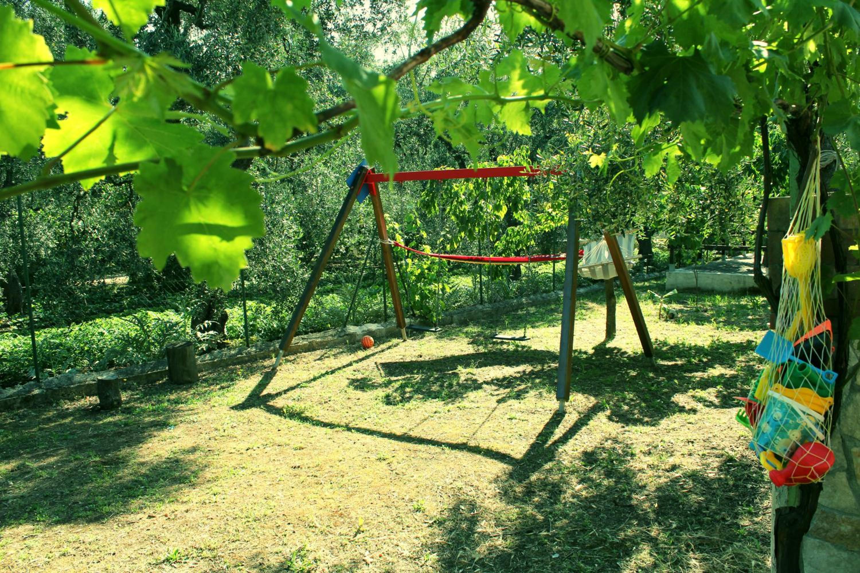 Photo 23