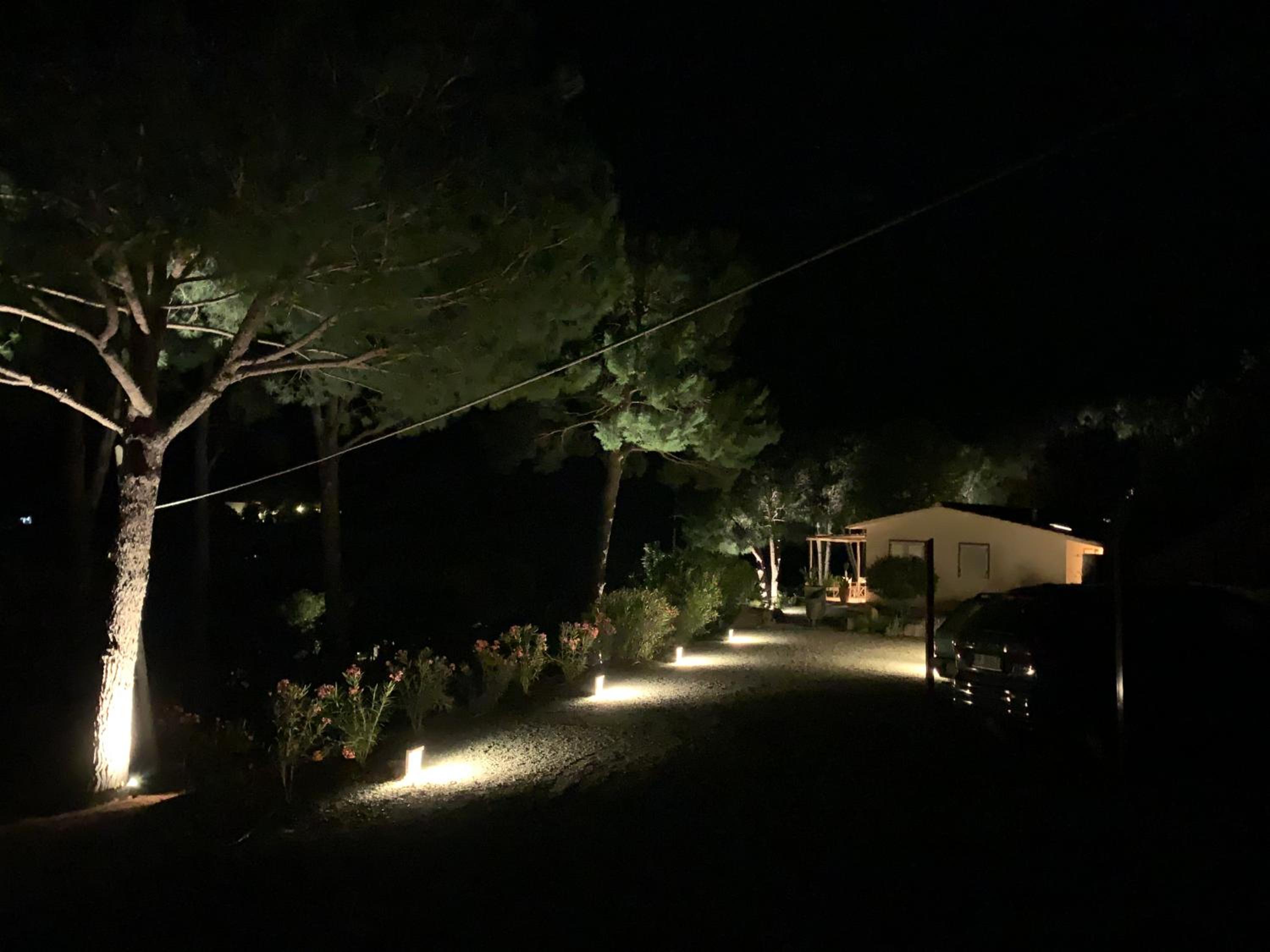 La Mandorla Salata photo 5