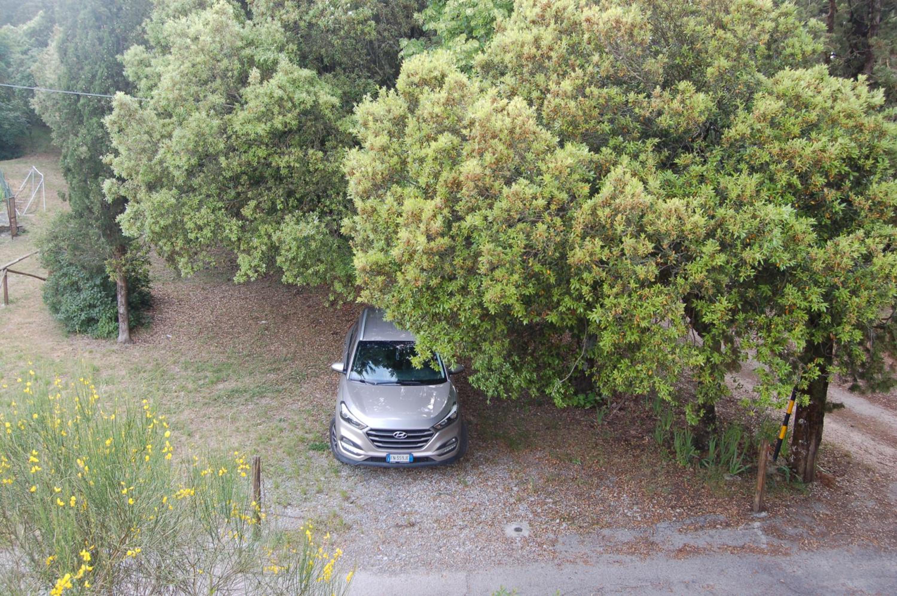 Photo 22