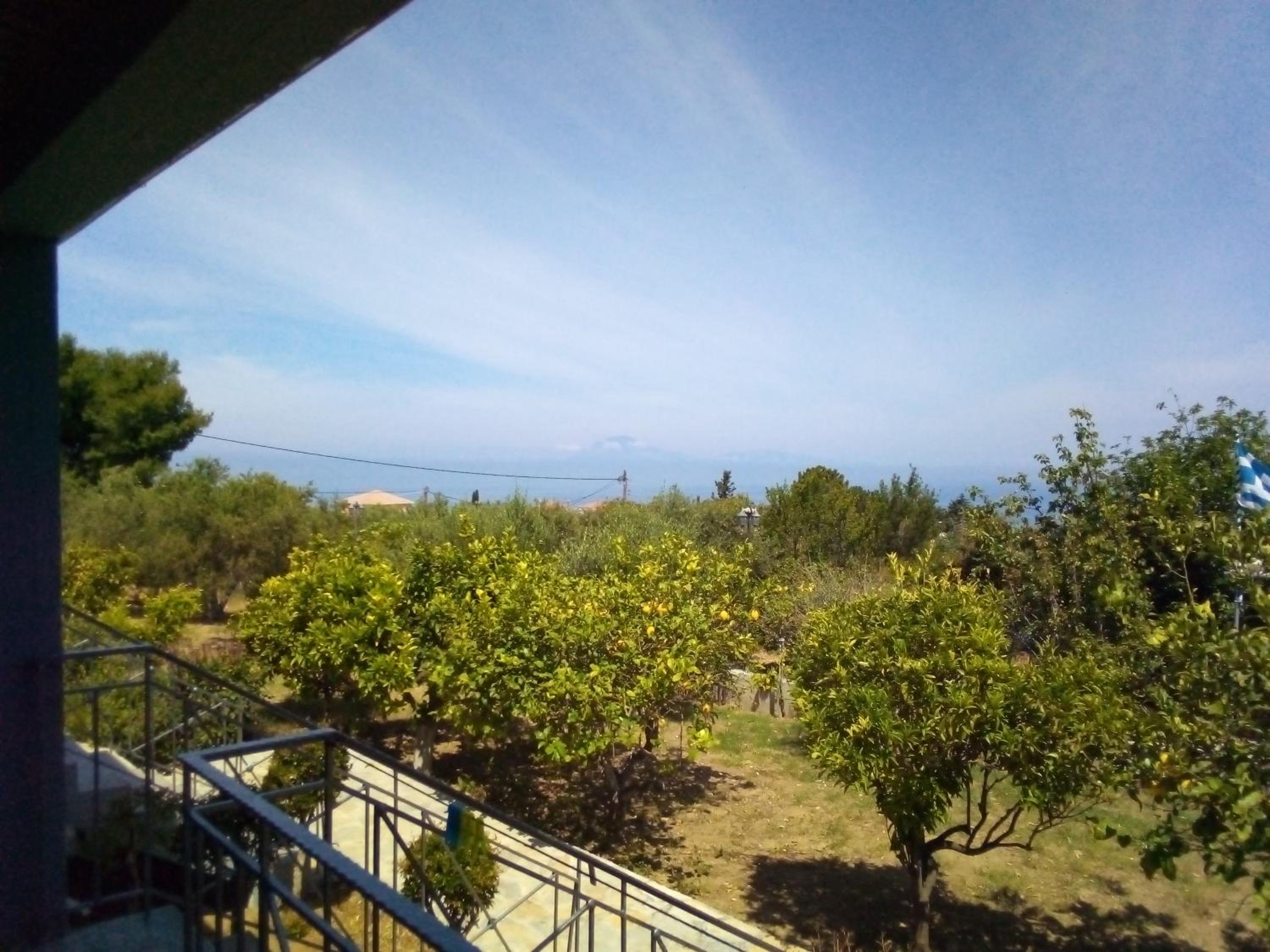 Panorama Rooms