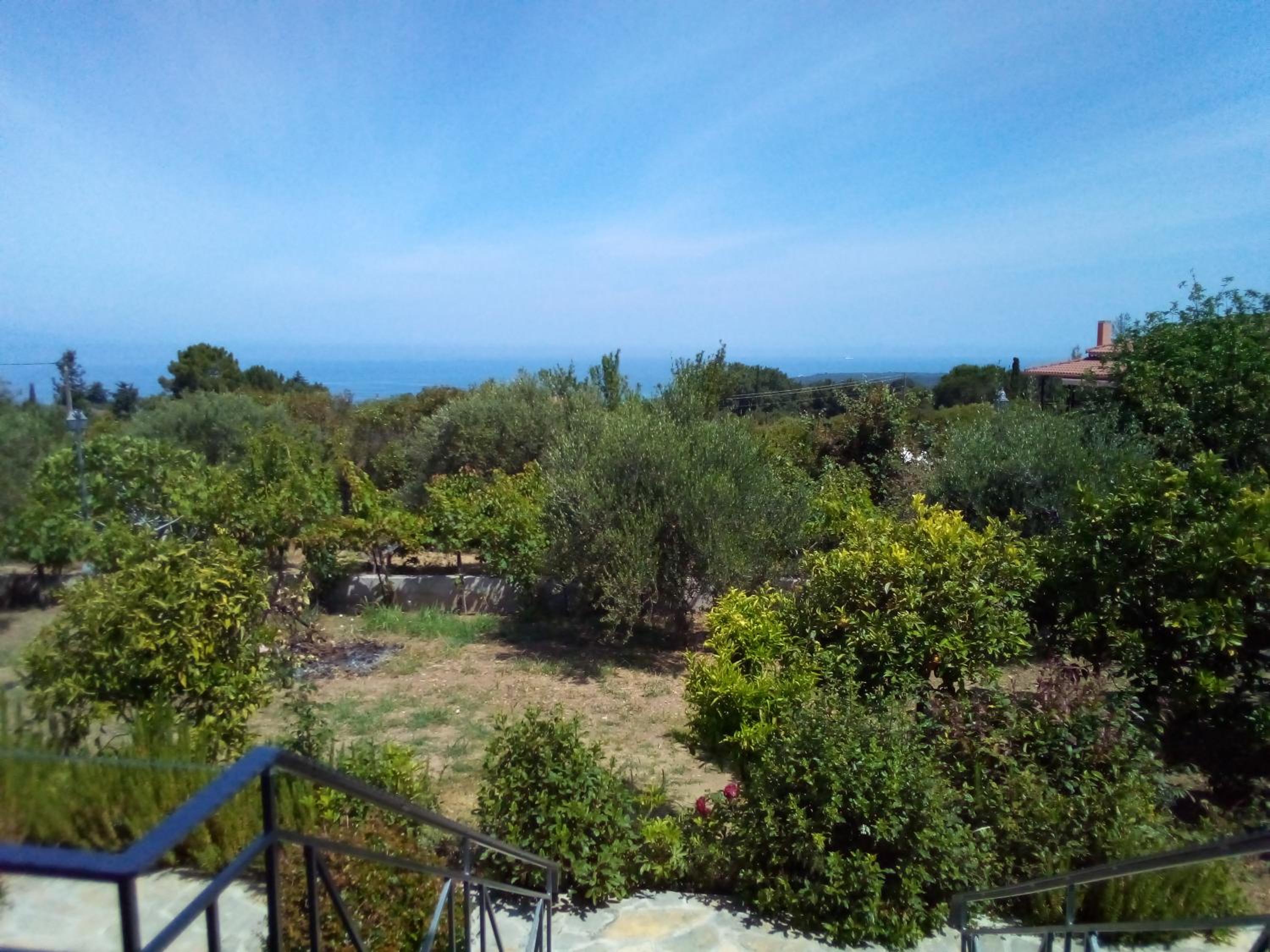 Panorama Rooms