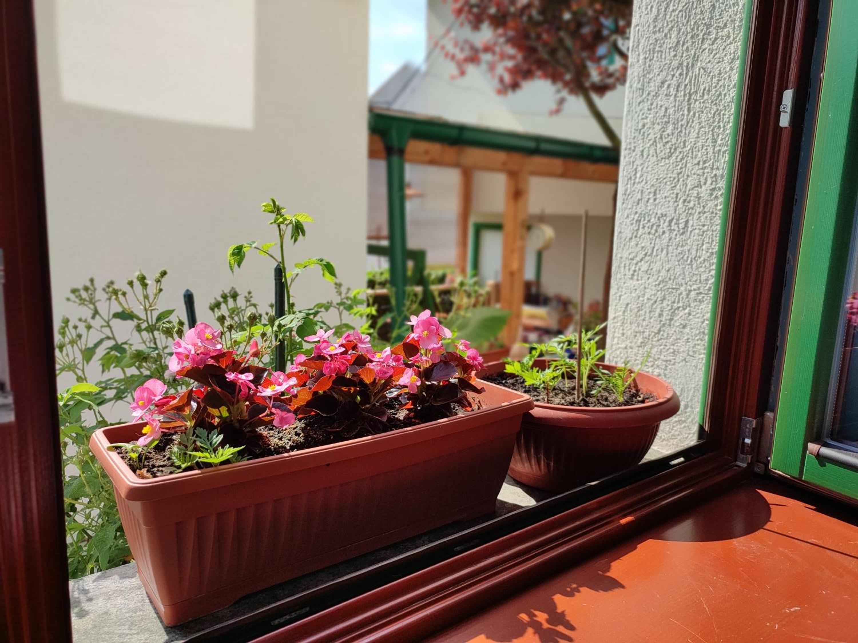 Photo 43