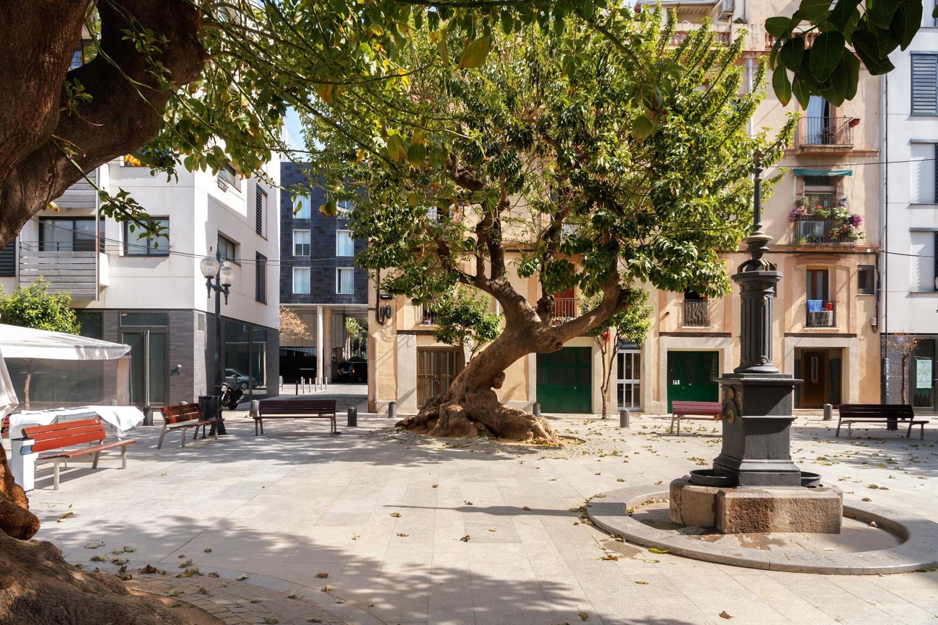 Feelathome Poblenou Beach Apartments