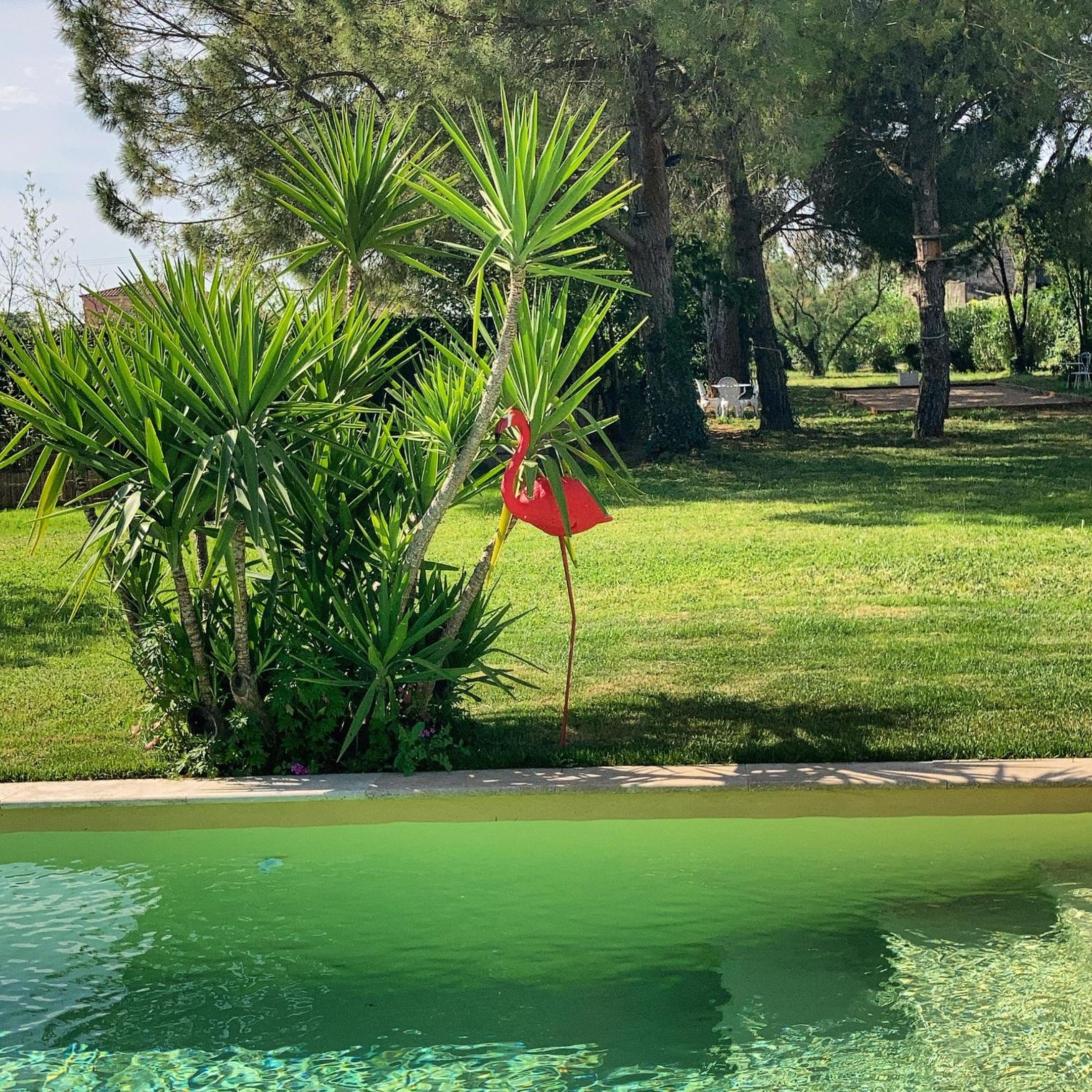 Le Patio, chambres d hôtes pour adultes en Camargue, possibilité de naturisme à la piscine,, photo 26