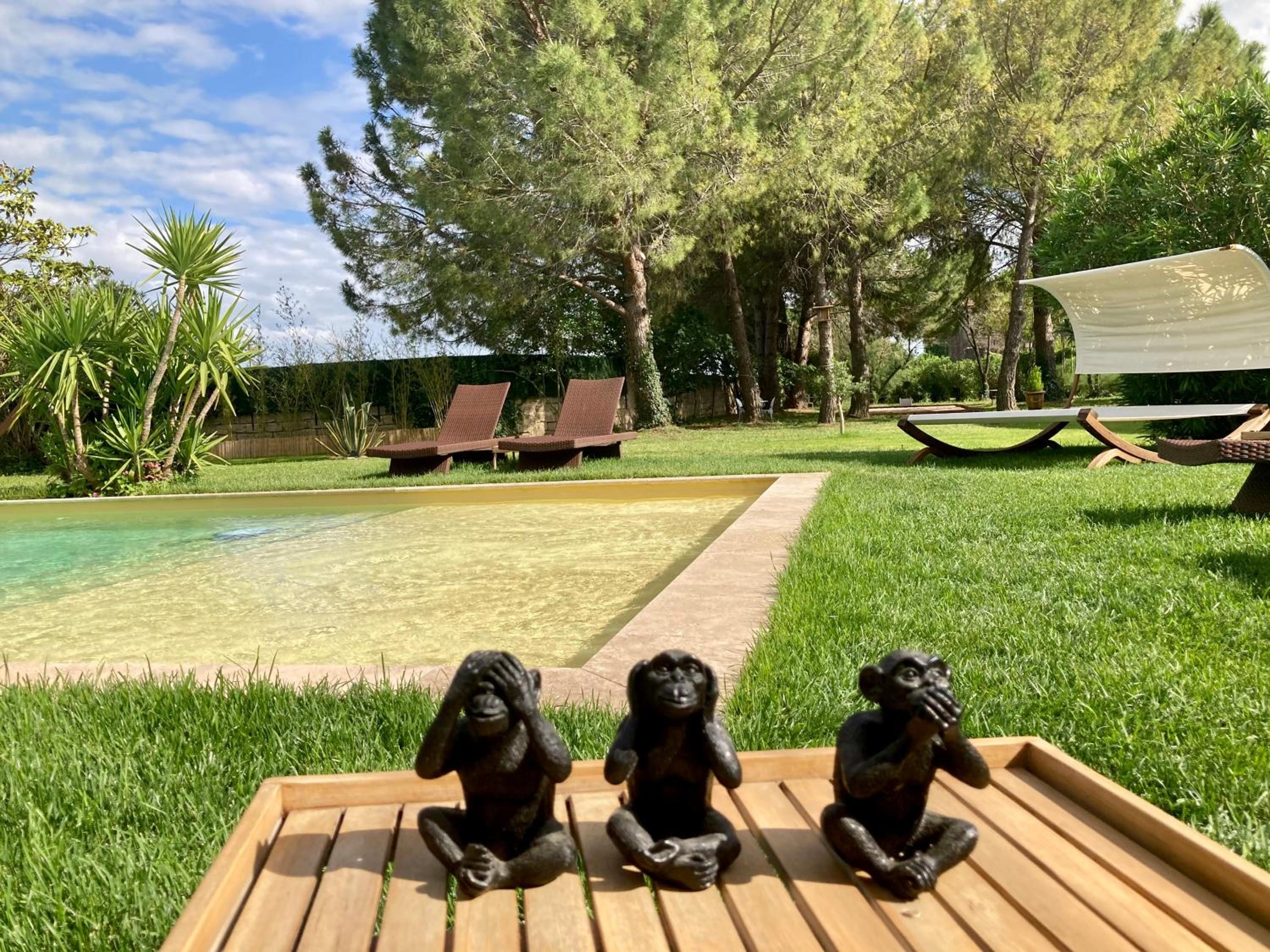 Le Patio, chambres d hôtes pour adultes en Camargue, possibilité de naturisme à la piscine,, photo 25