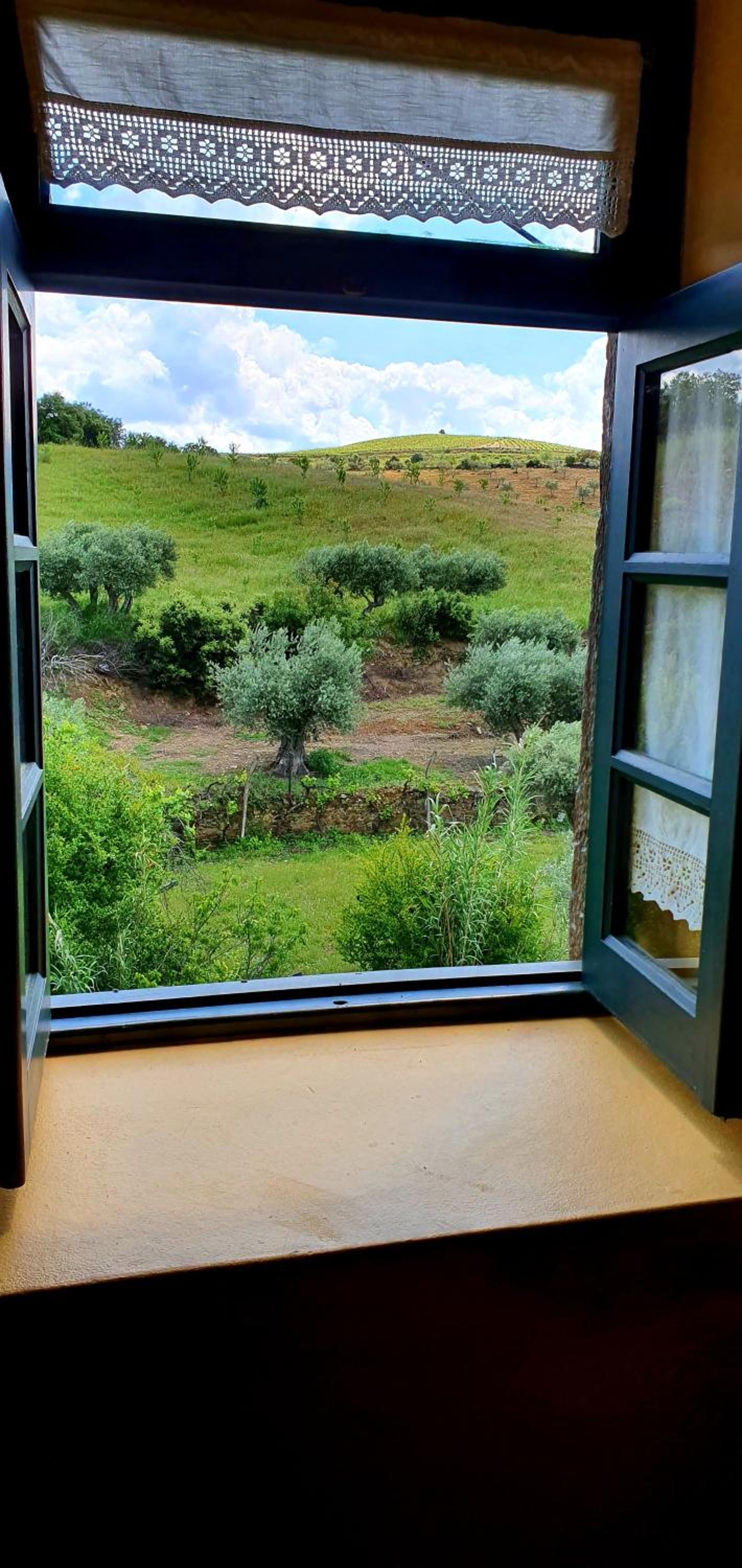 Quinta do Chao D'Ordem view 4