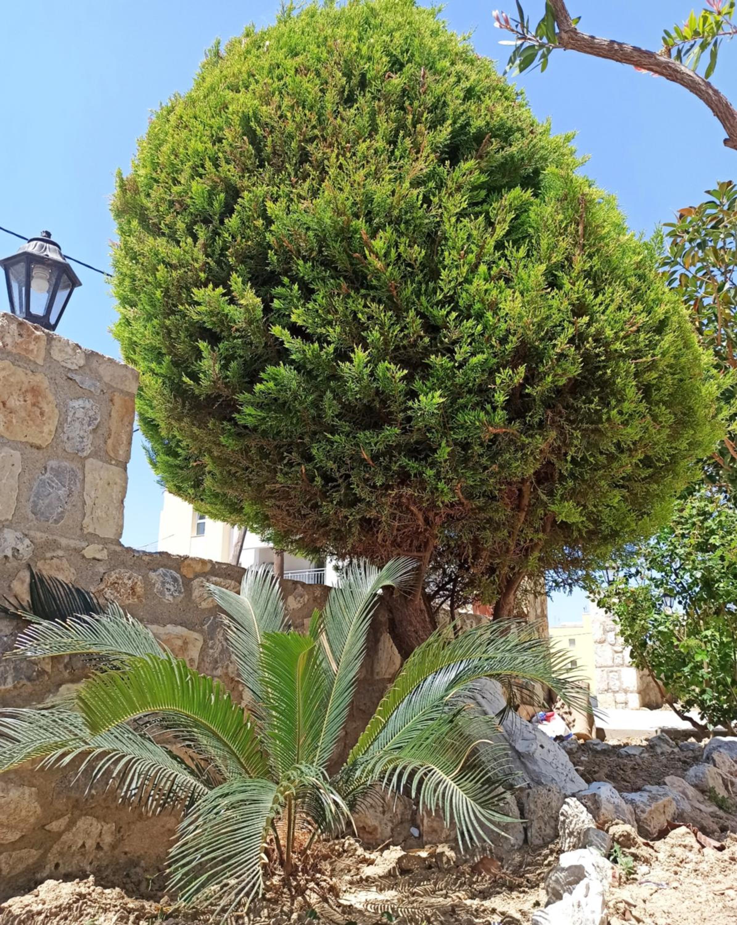 Photo 46