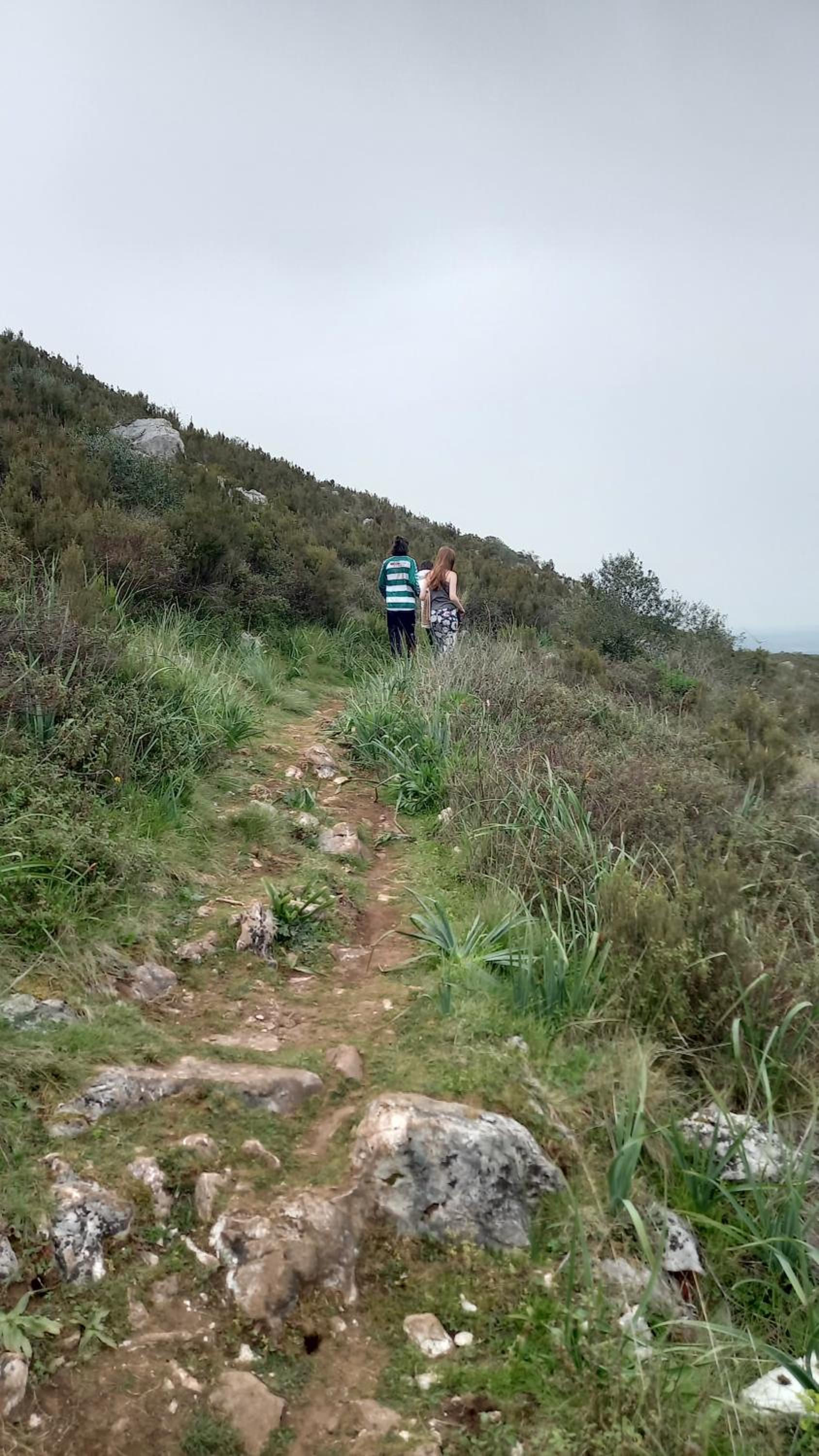Photo 48
