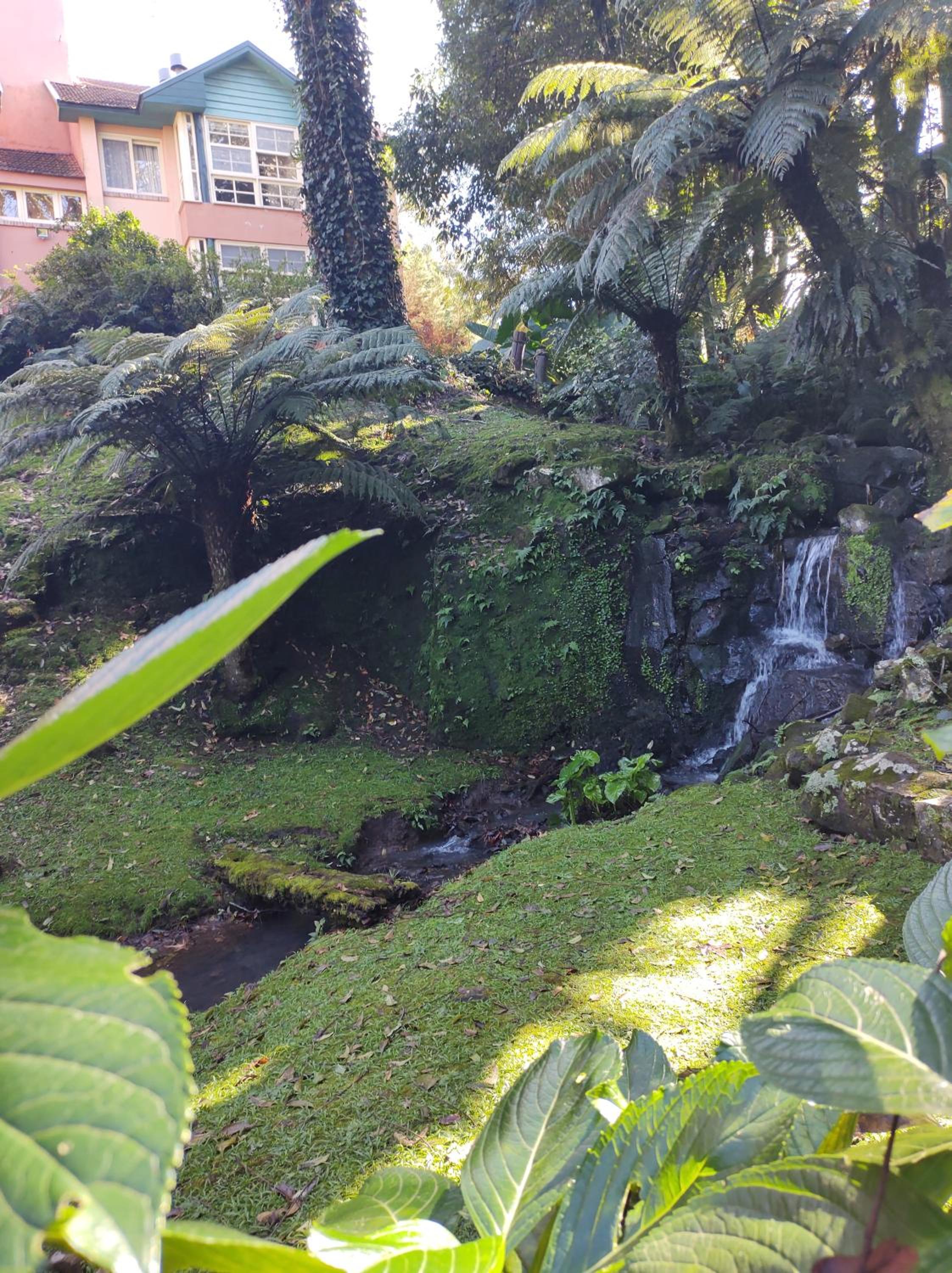 Photo 28