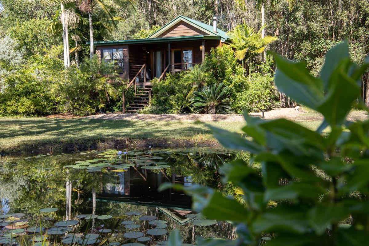 Lake Weyba Cottages Noosa view 3