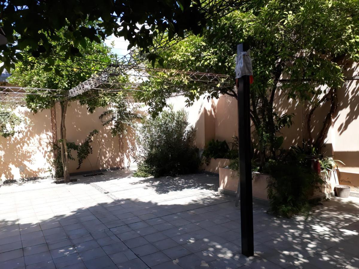 THE HOUSE OF SAFAD
