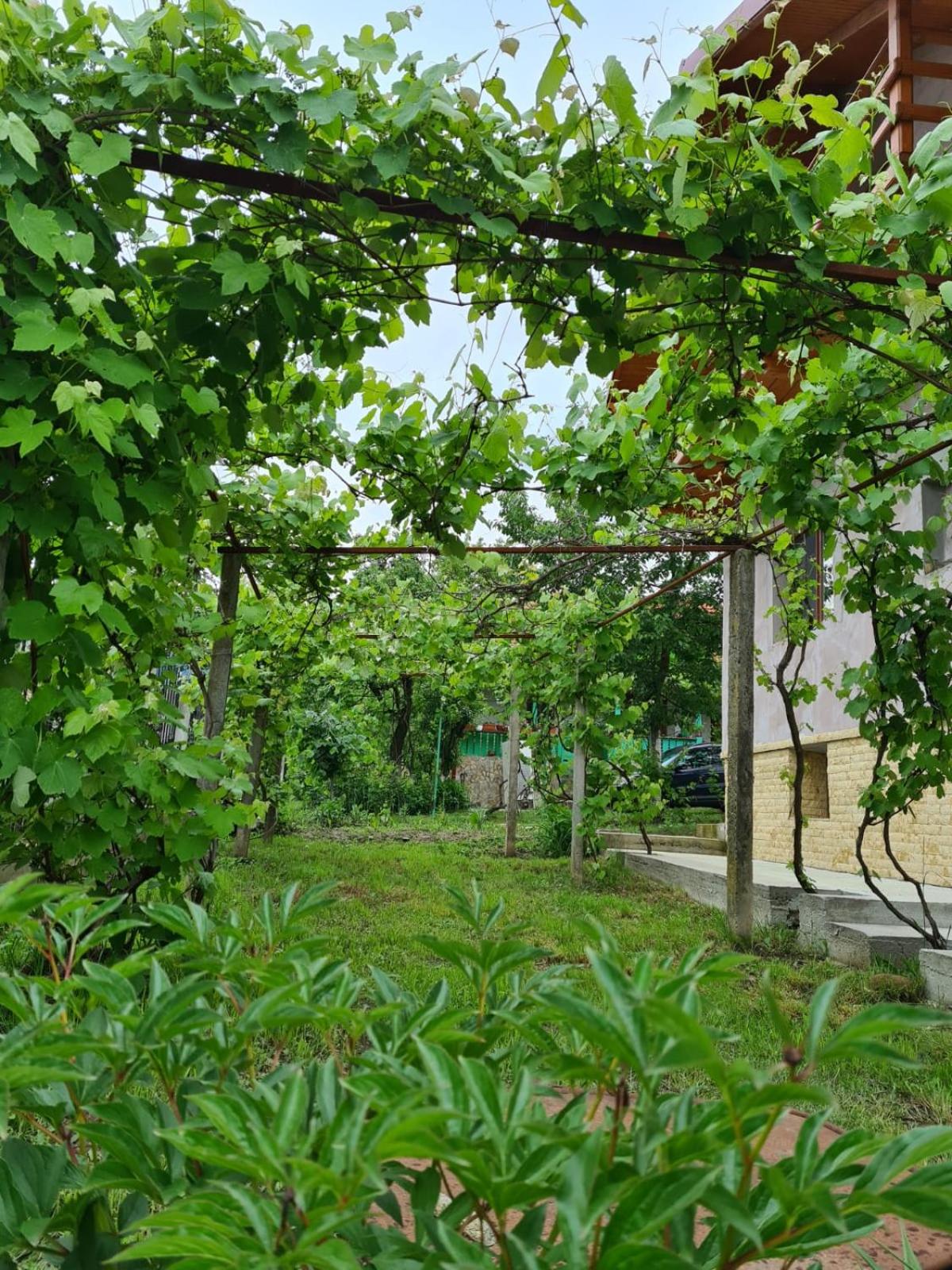 Photo 42