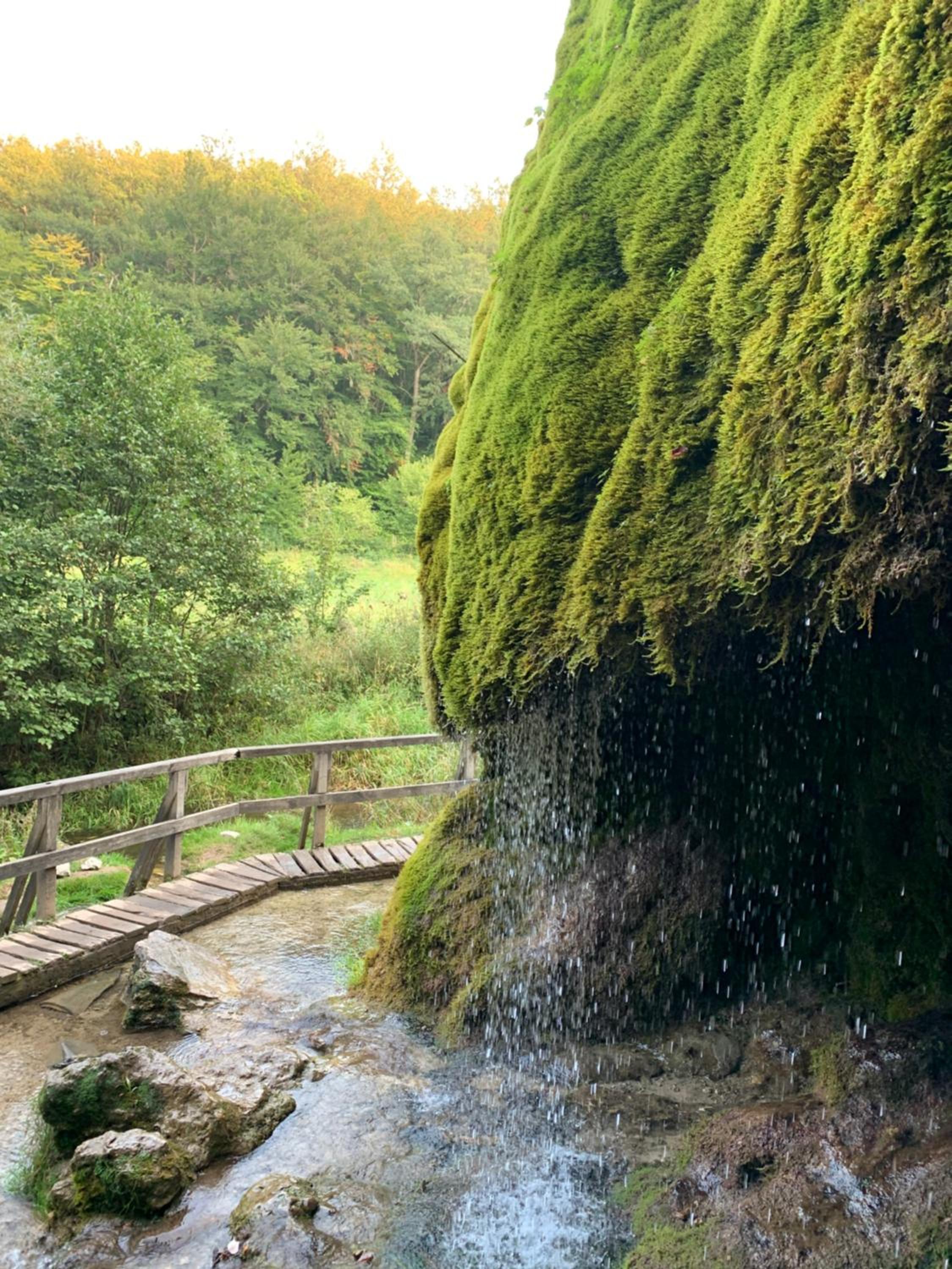 Ferienhaus Backesgarten für 22 Personen