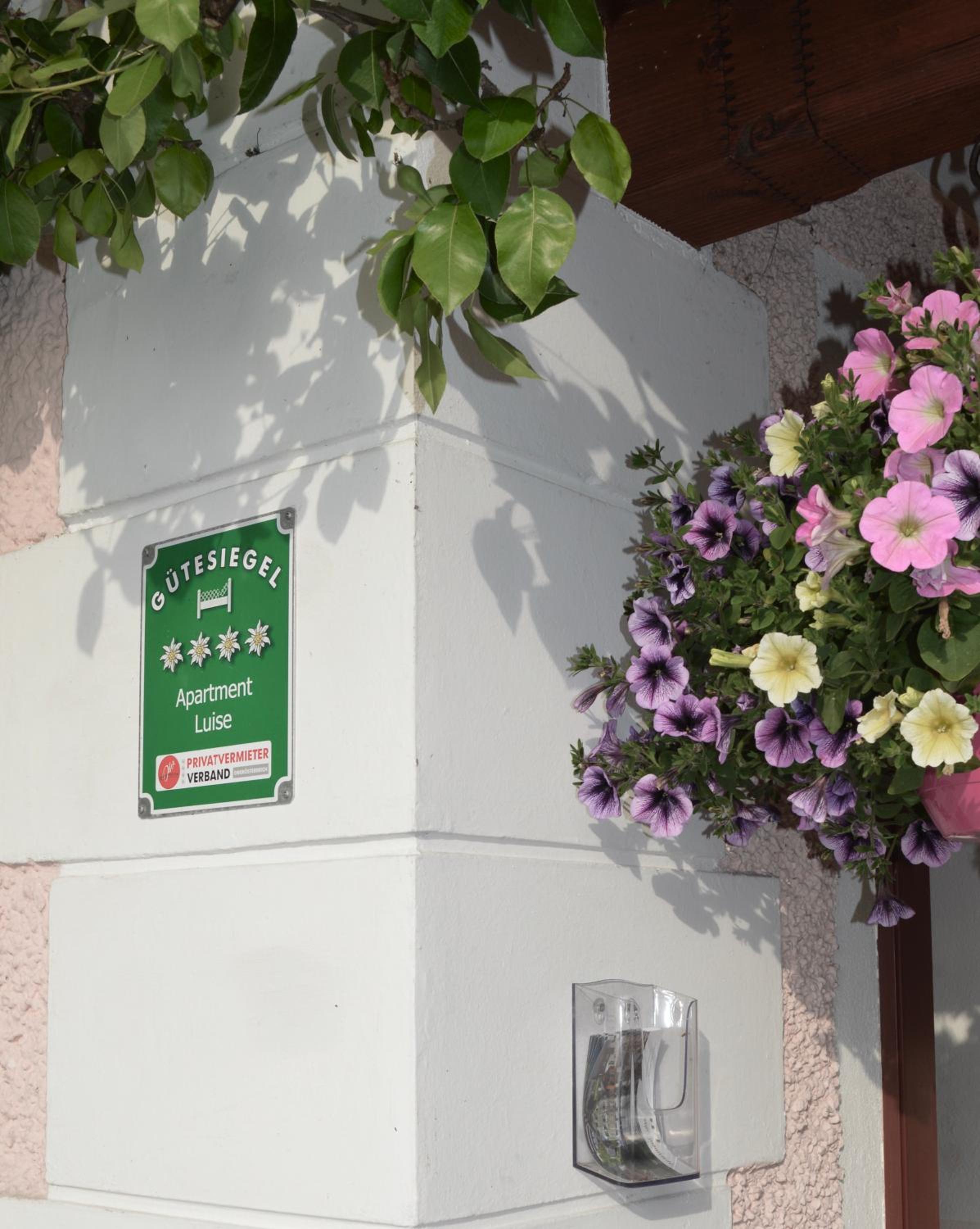 Apartment Luise