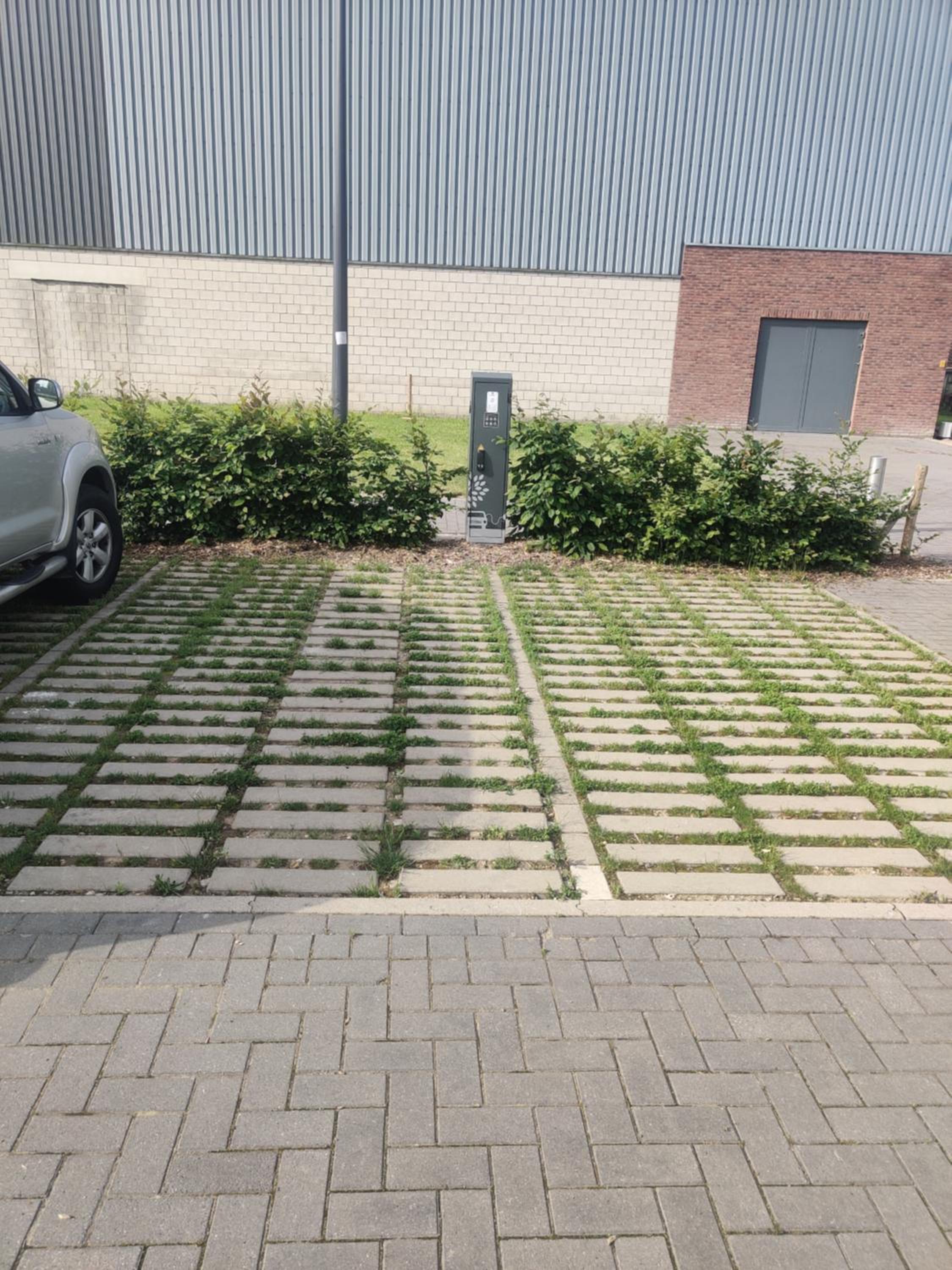 De Konik