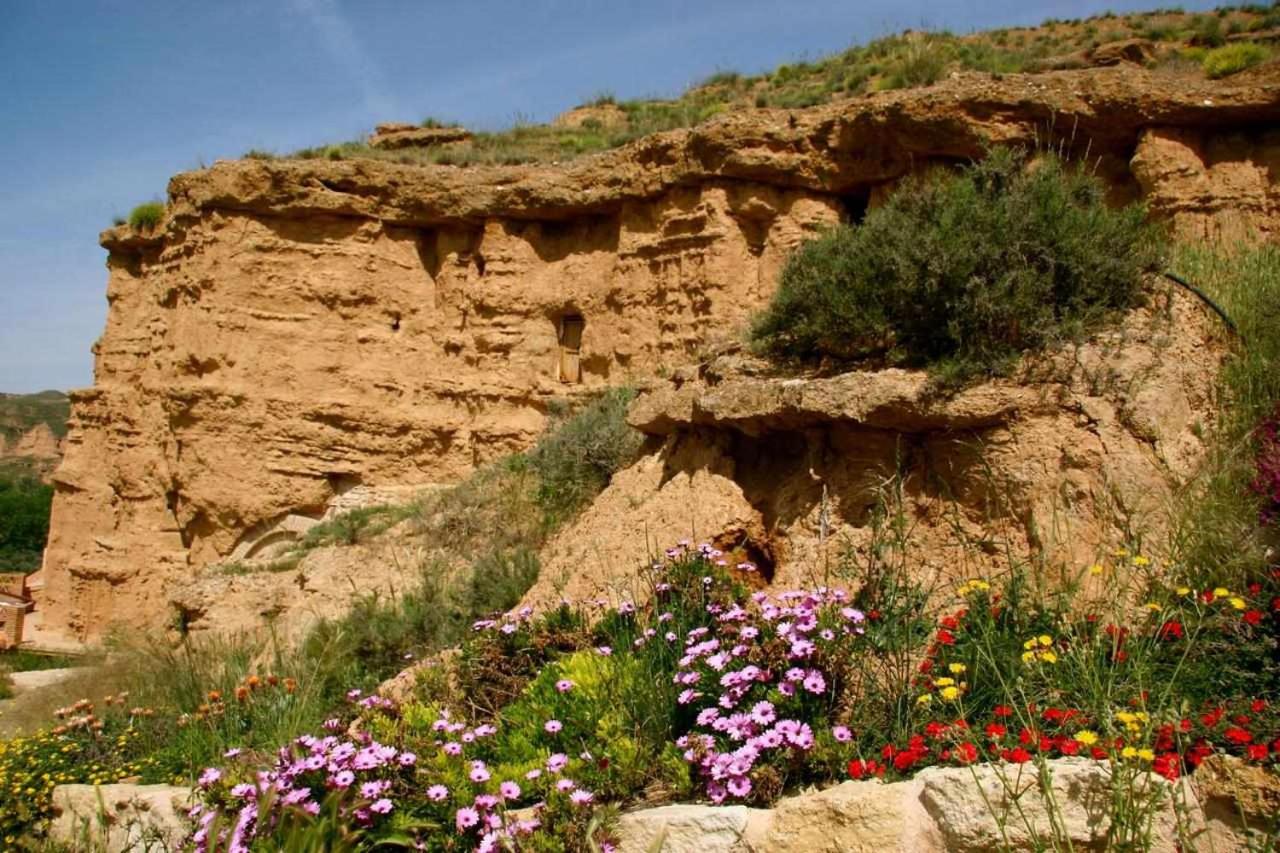 Hábitat Troglodita Almagruz view 5
