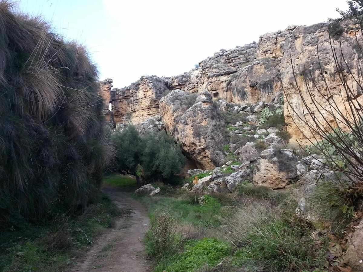 Photo 36