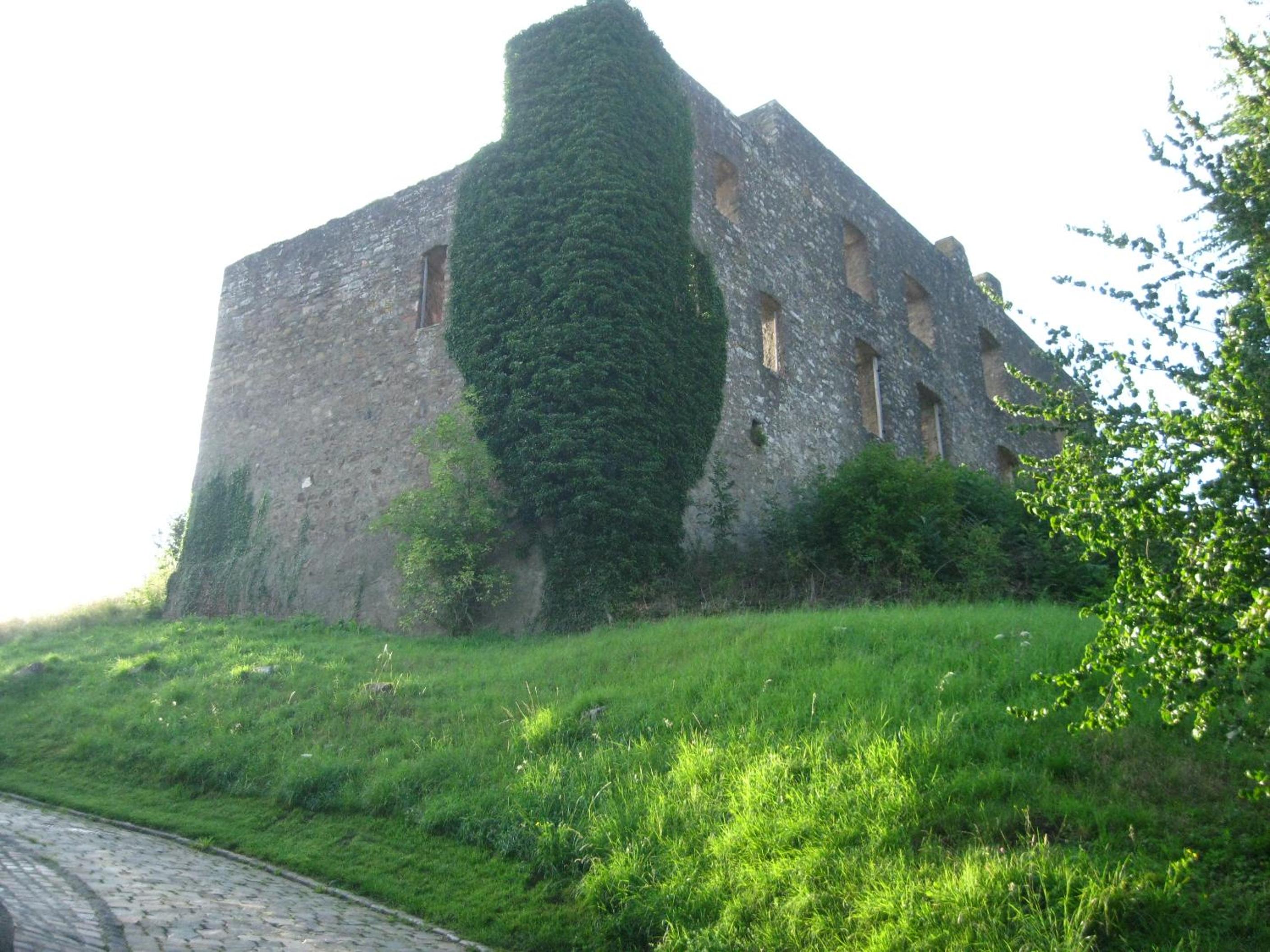Photo 45