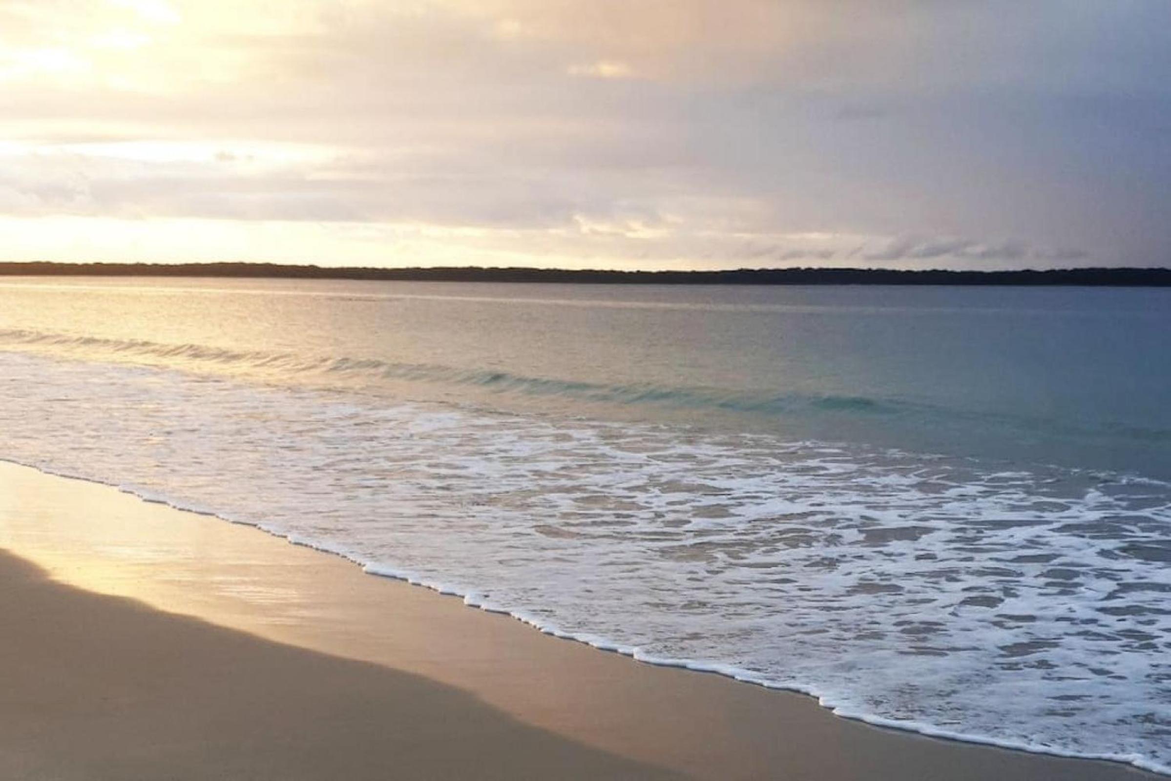 Callala Bay Beach House - Wowly Waters - Pet Friendly