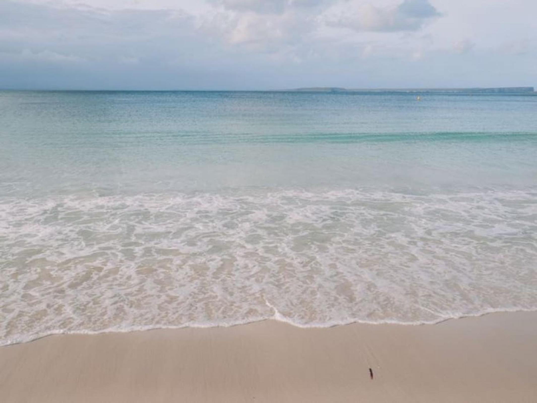 Callala Bay Beach House - Wowly Waters - Pet Friendly
