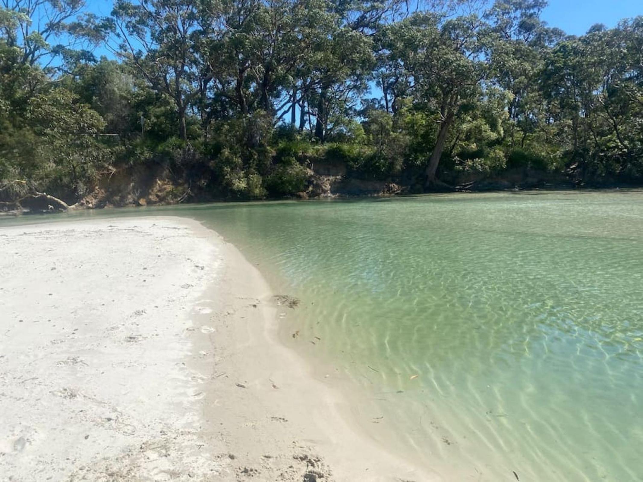 Callala Bay Beach House - Wowly Waters - Pet Friendly