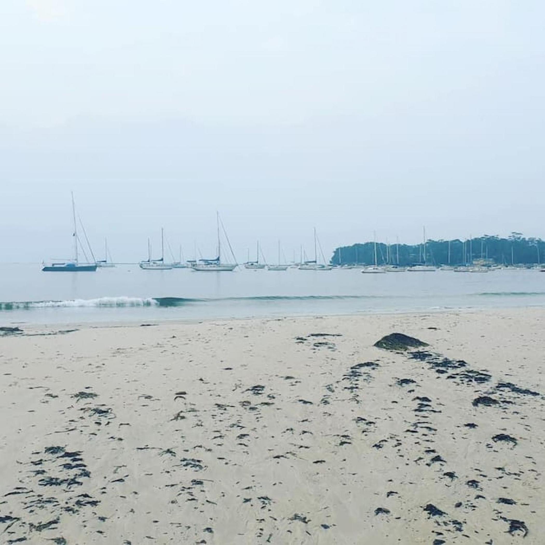 Callala Bay Beach House - Wowly Waters - Pet Friendly