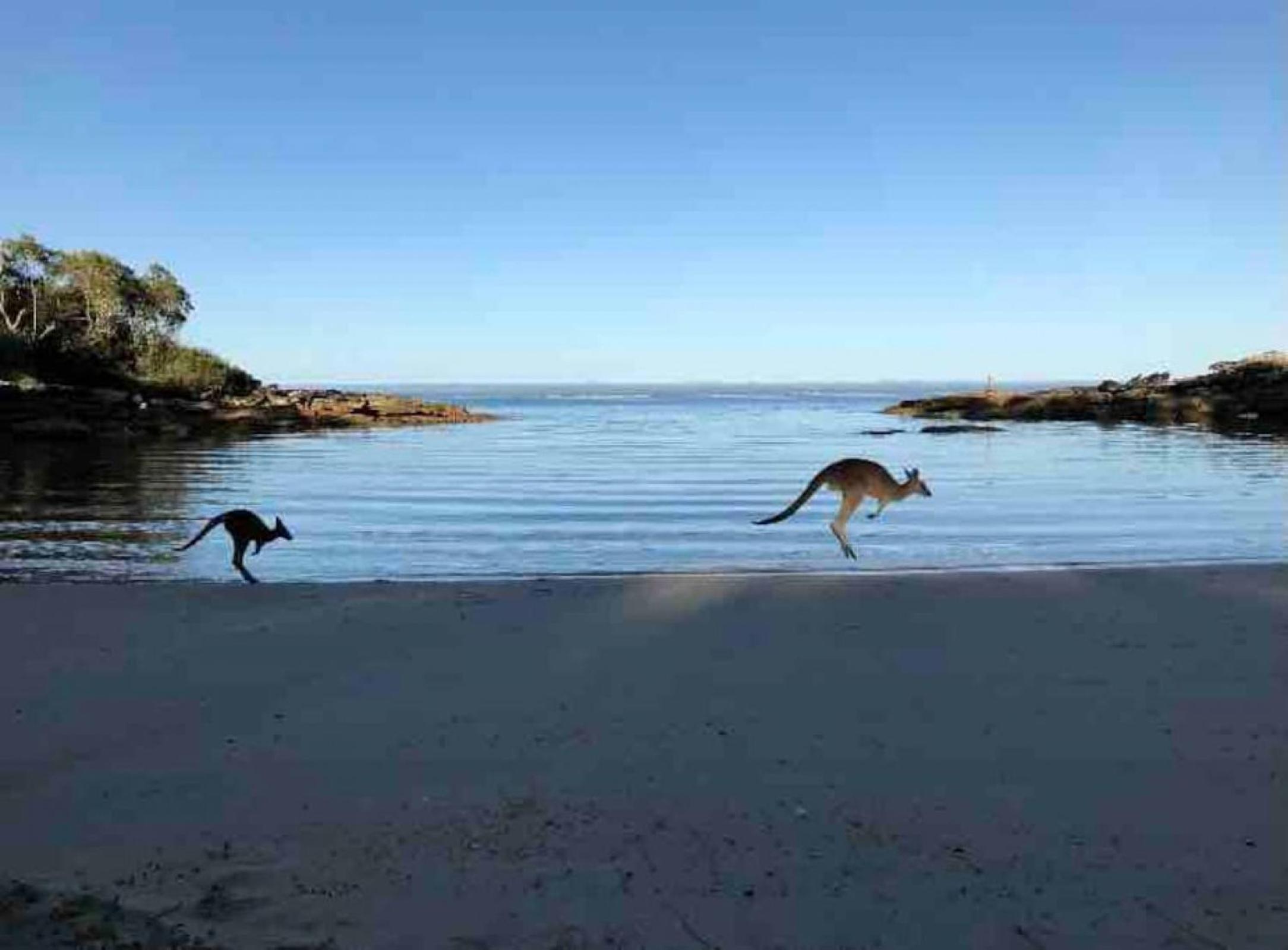 Callala Bay Beach House - Wowly Waters - Pet Friendly